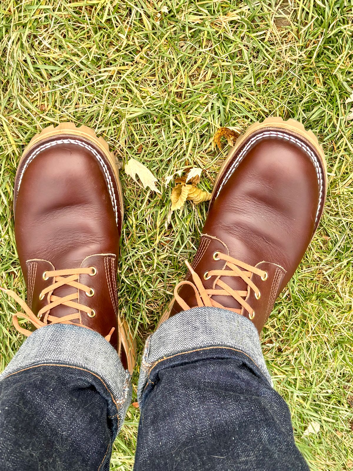 Photo by Sober_And_Faded on November 8, 2025 of the Nicks Ivan in Shackleton Brown.