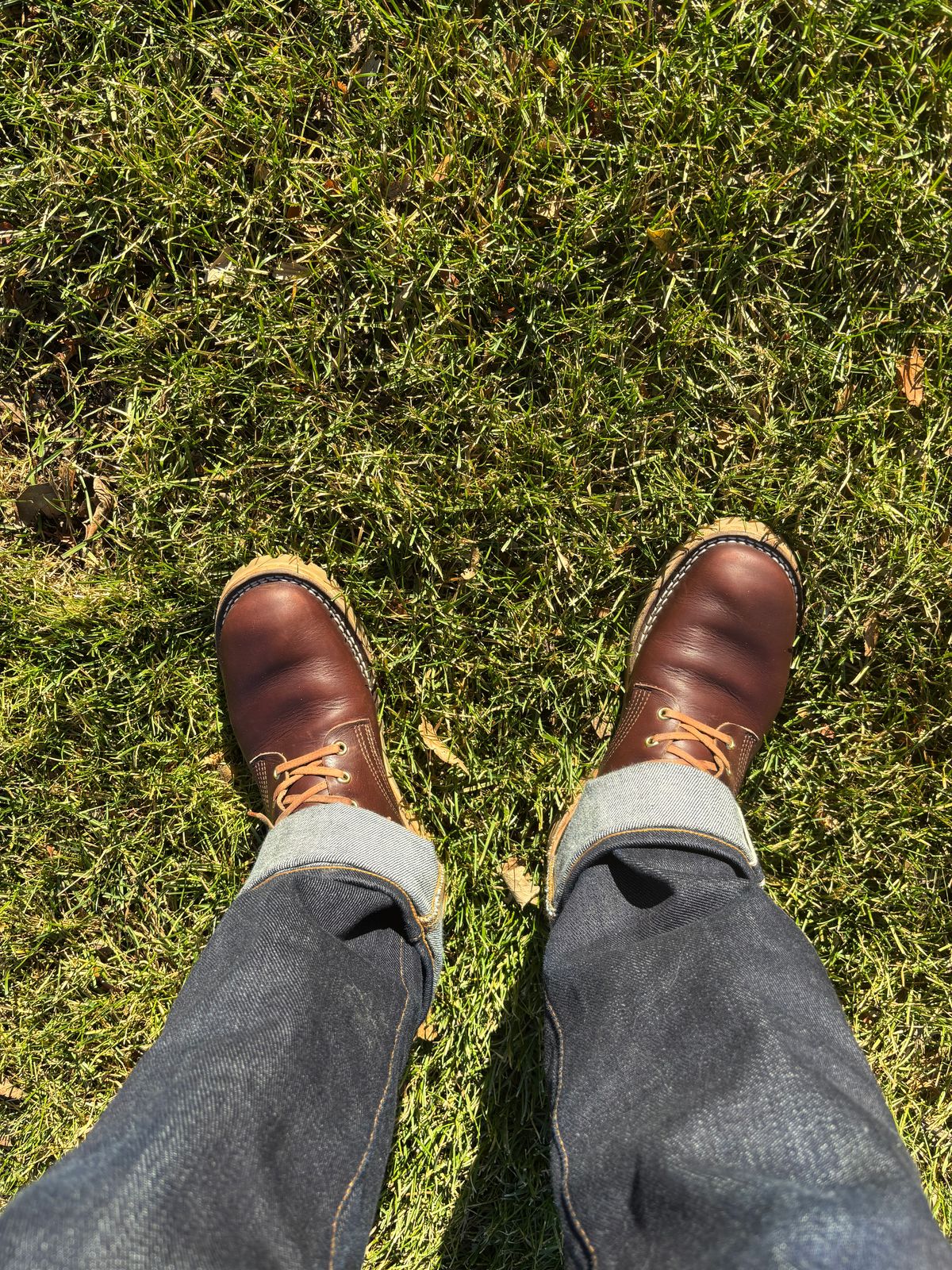 Photo by Sober_And_Faded on November 23, 2025 of the Nicks Ivan in Shackleton Brown.