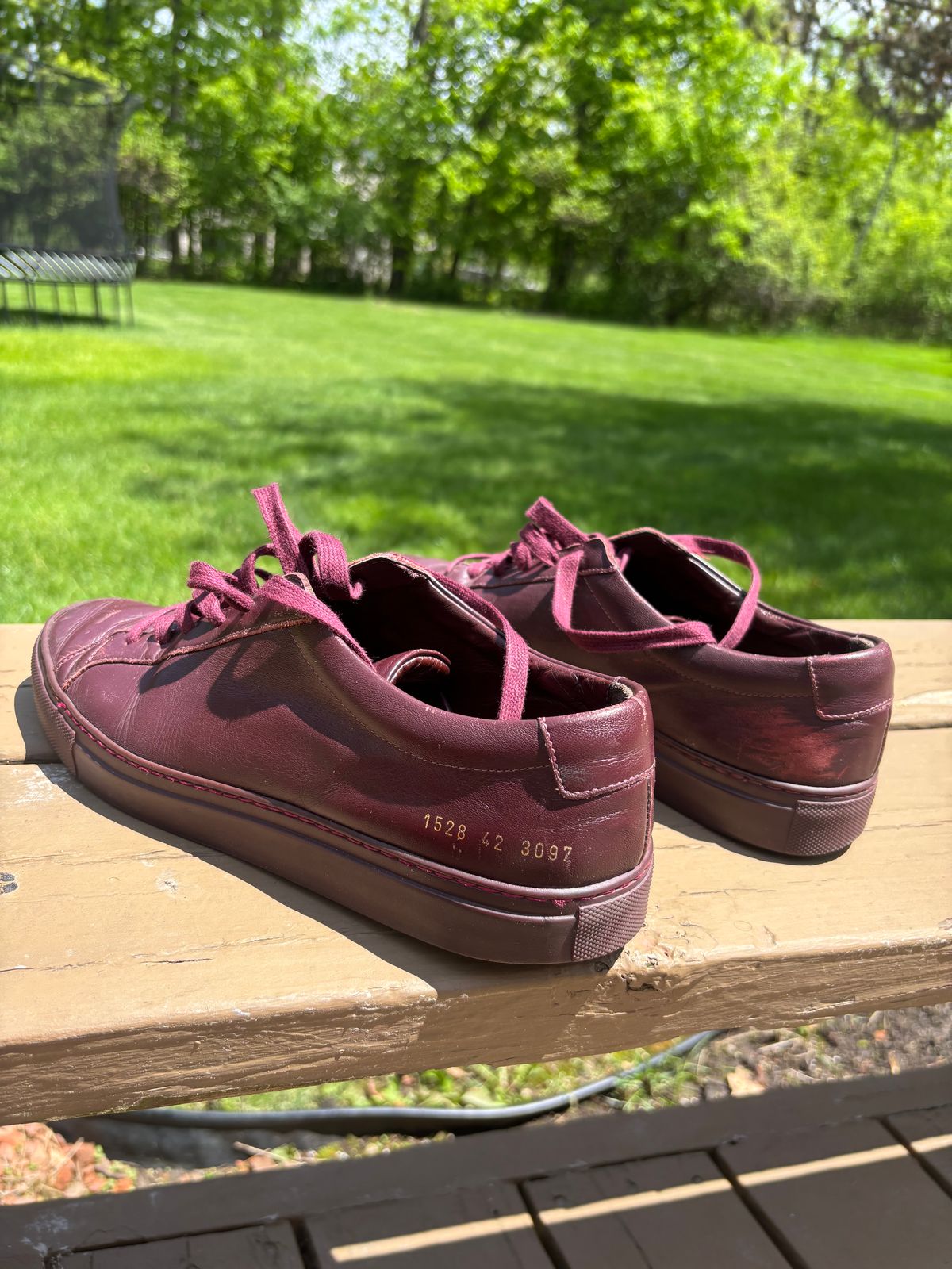 Photo by Sober_And_Faded on May 24, 2025 of the Common Projects Achilles Low Top in Unknown Oxblood.