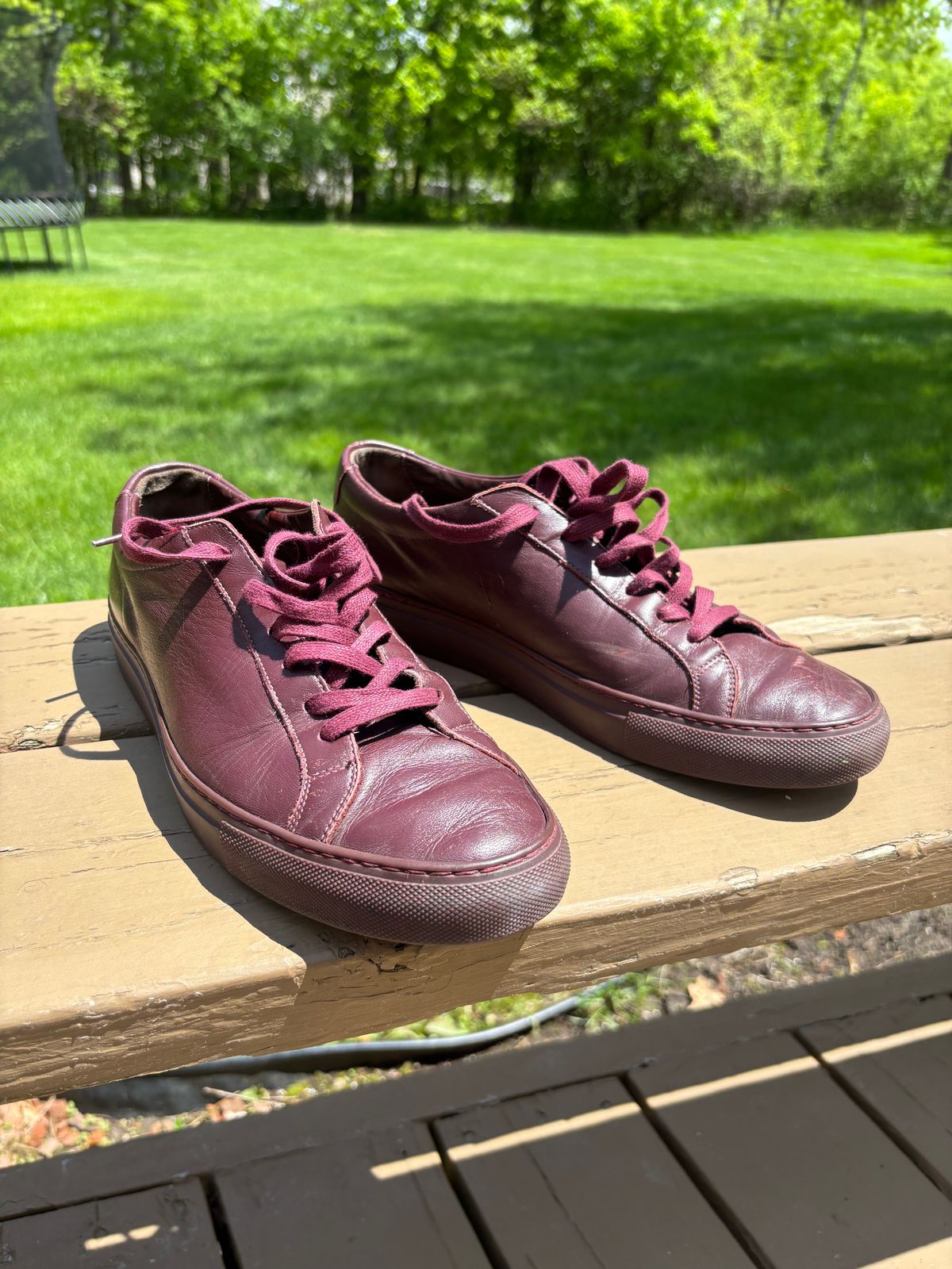 Photo by Sober_And_Faded on May 24, 2025 of the Common Projects Achilles Low Top in Unknown Oxblood.