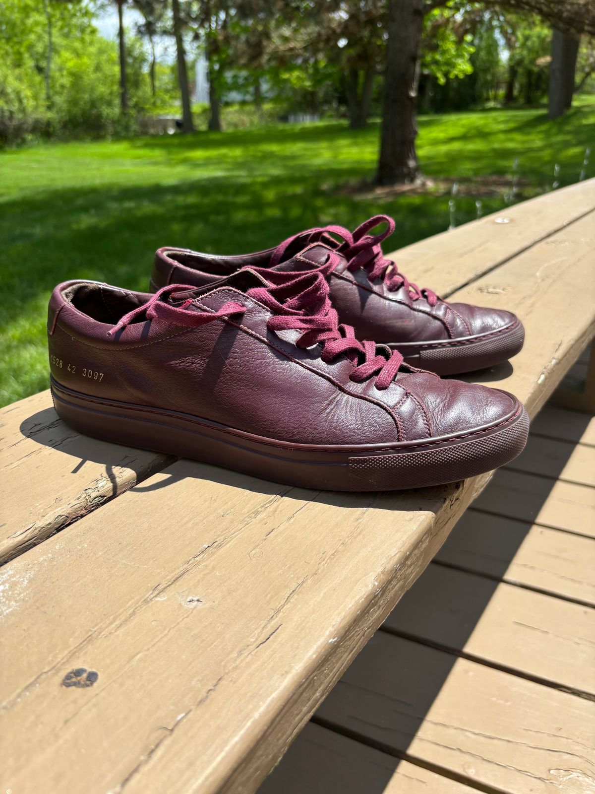 Photo by Sober_And_Faded on May 24, 2025 of the Common Projects Achilles Low Top in Unknown Oxblood.