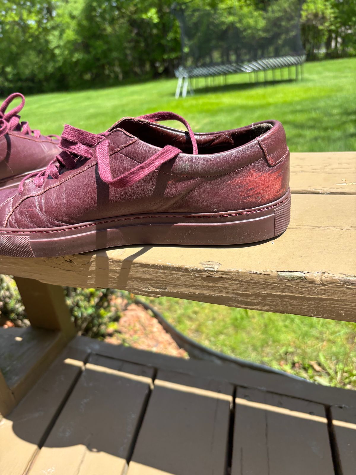 Photo by Sober_And_Faded on May 24, 2025 of the Common Projects Achilles Low Top in Unknown Oxblood.