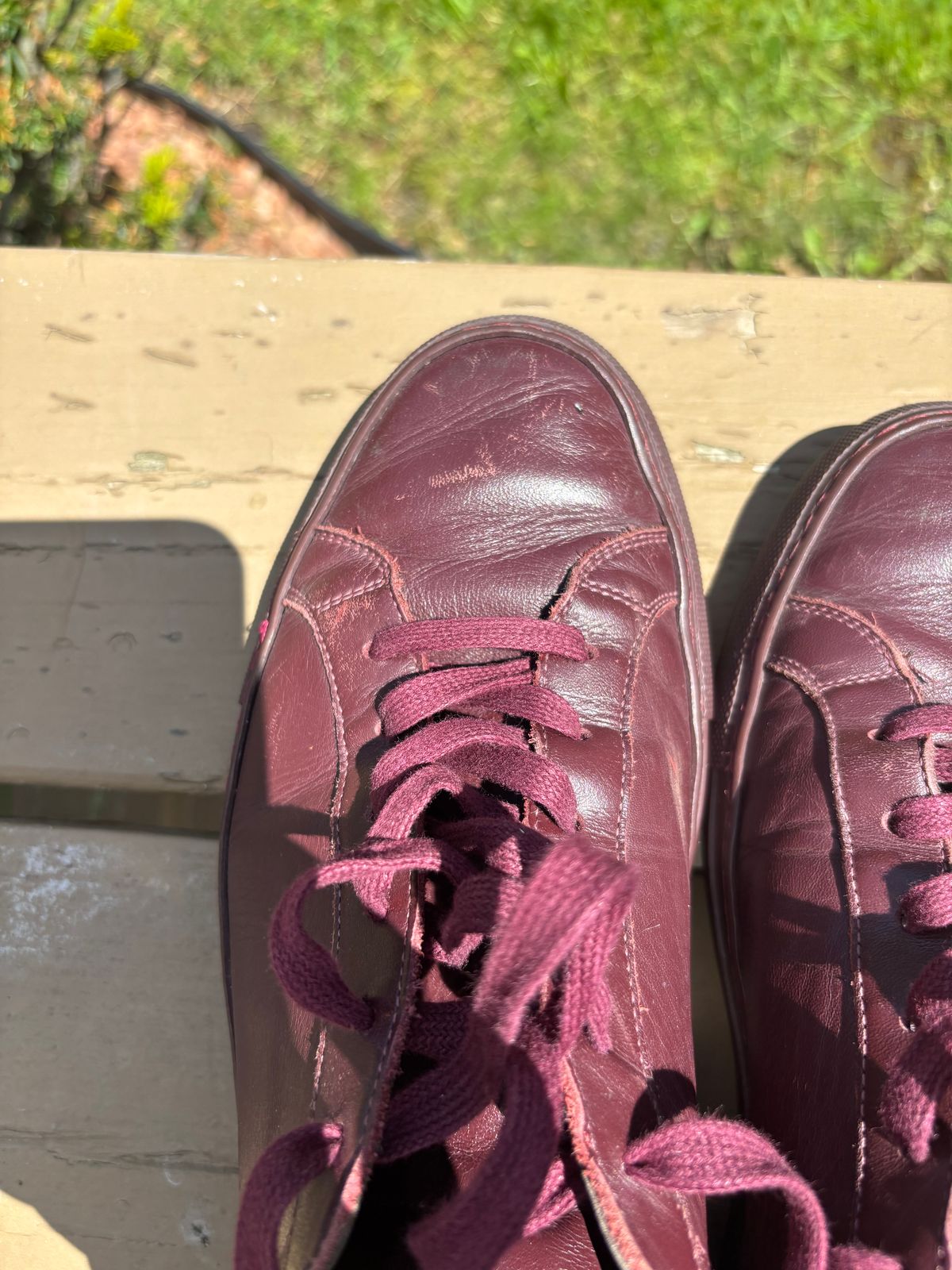 Photo by Sober_And_Faded on May 24, 2025 of the Common Projects Achilles Low Top in Unknown Oxblood.