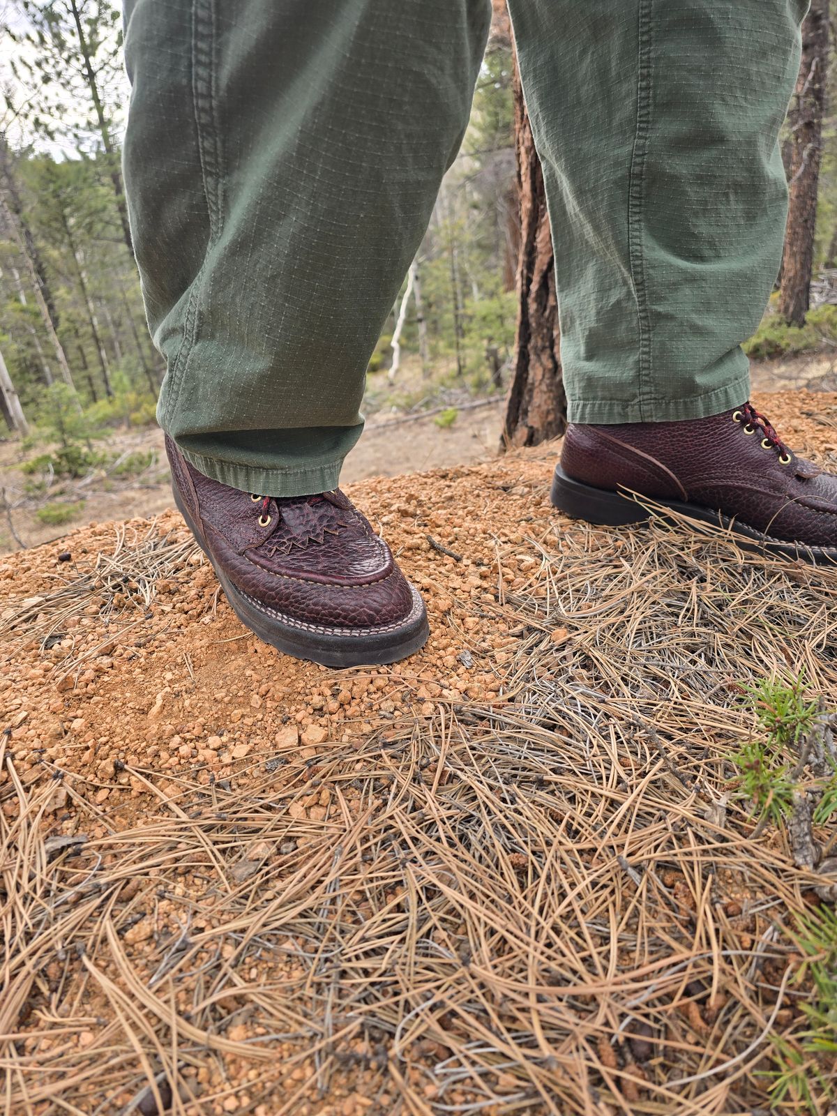 Photo by gtealcr on April 25, 2026 of the Nicks Wood Butcher in Horween Yellowstone #8.