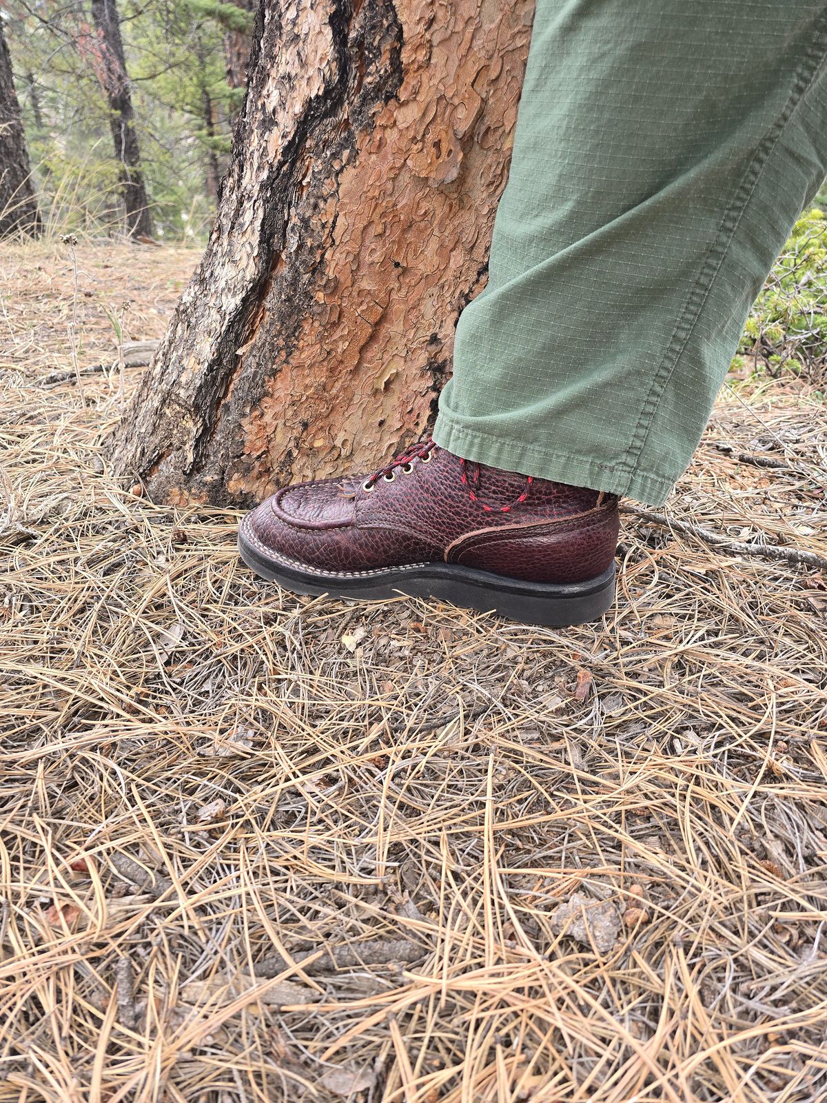 Photo by gtealcr on April 25, 2026 of the Nicks Wood Butcher in Horween Yellowstone #8.