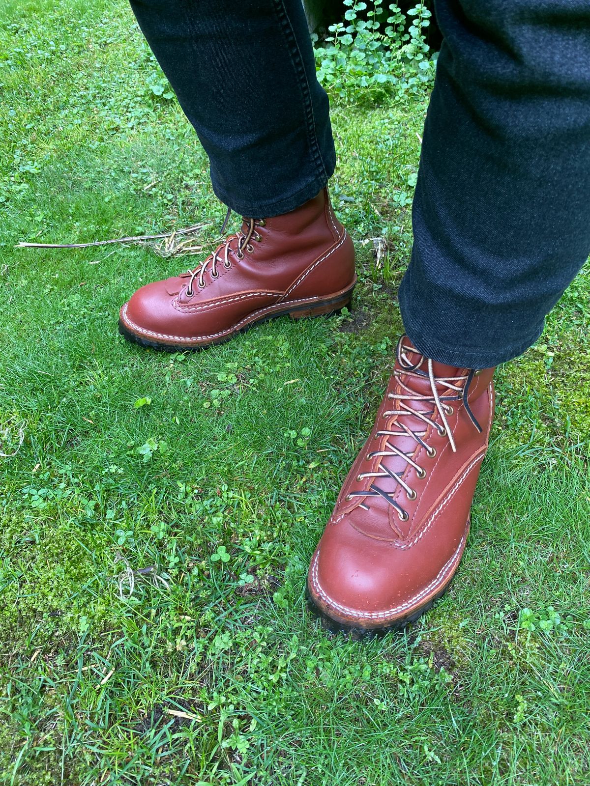 Photo by Fardad on June 14, 2025 of the Wesco Jobmaster in Seidel Redwood Oil Tan.