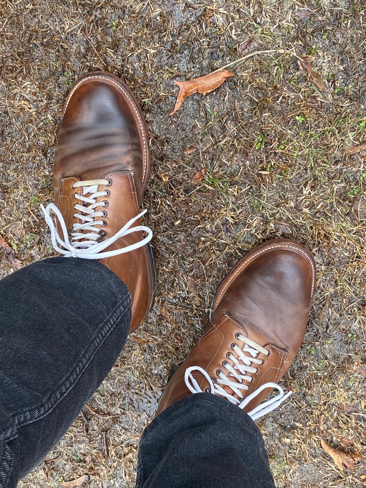 Photo by Fardad on March 5, 2025 of the Alden Plain Toe Boot in Horween Natural Chromexcel.