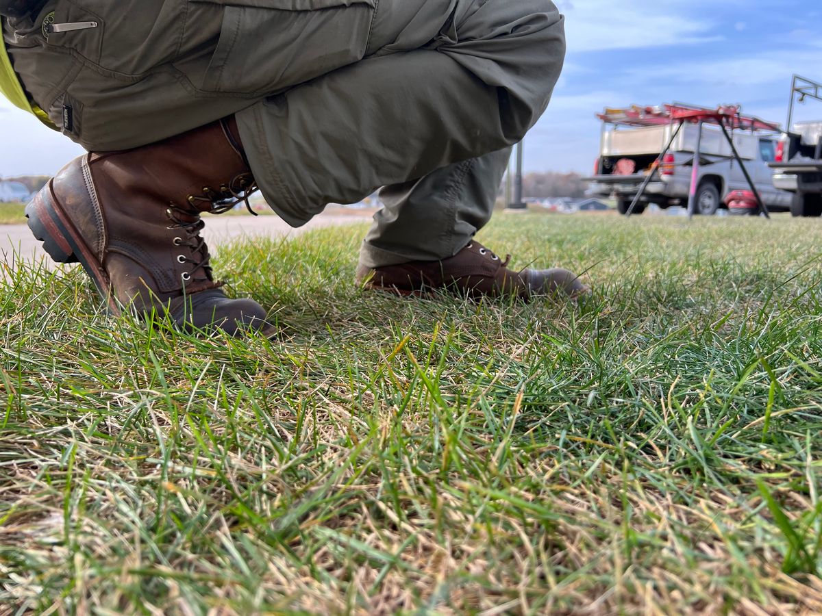 Photo by petejones418 on October 29, 2024 of the Nicks Lace Up Work in Seidel WeatherShield Brown.