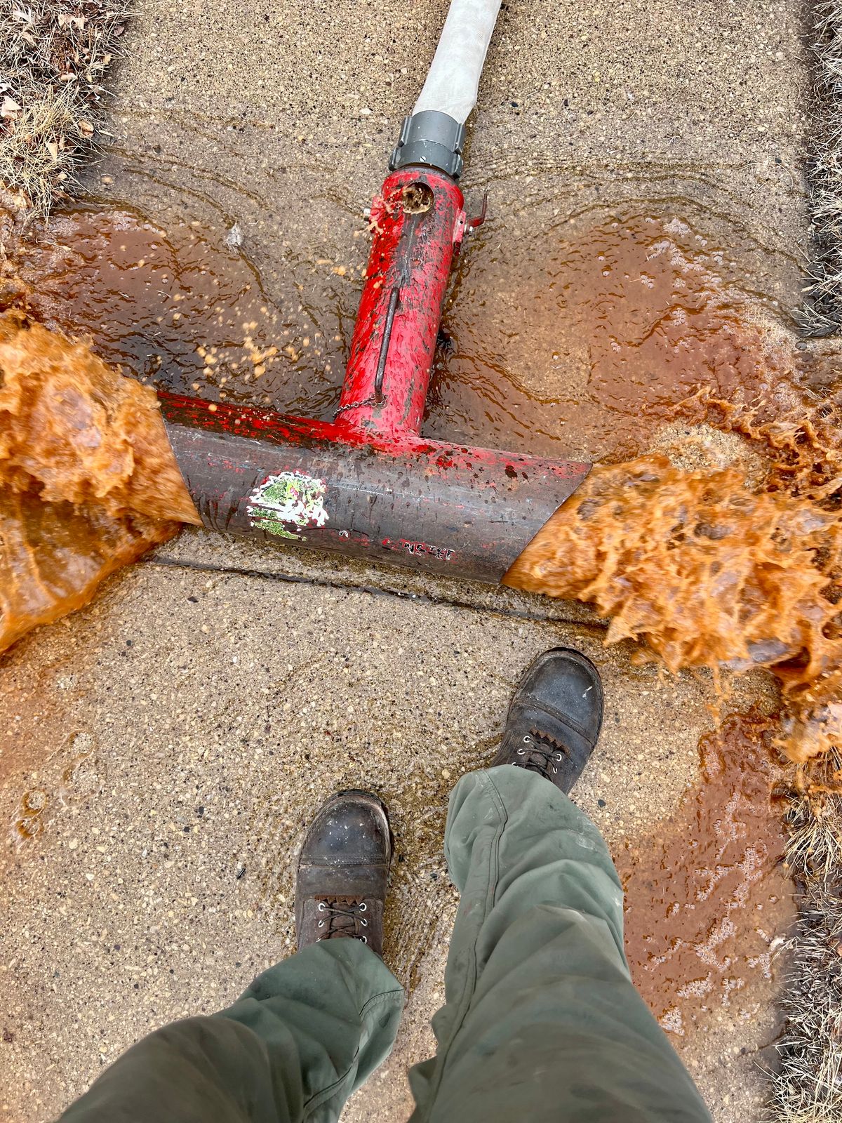 Photo by petejones418 on March 4, 2025 of the Nicks Lace Up Work in Seidel WeatherShield Brown.
