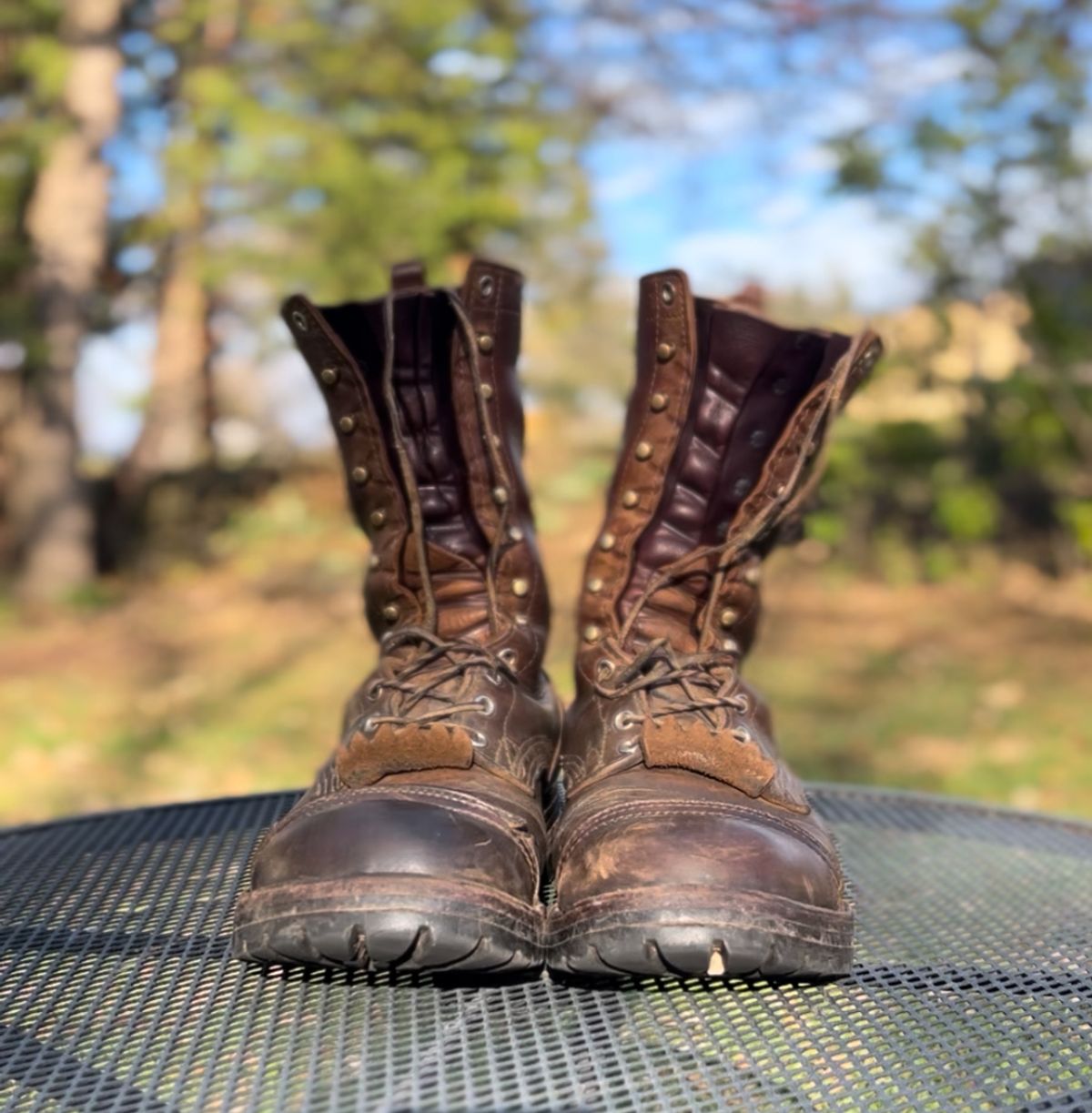 Photo by petejones418 on November 2, 2025 of the Nicks Lace Up Work in Seidel WeatherShield Brown.