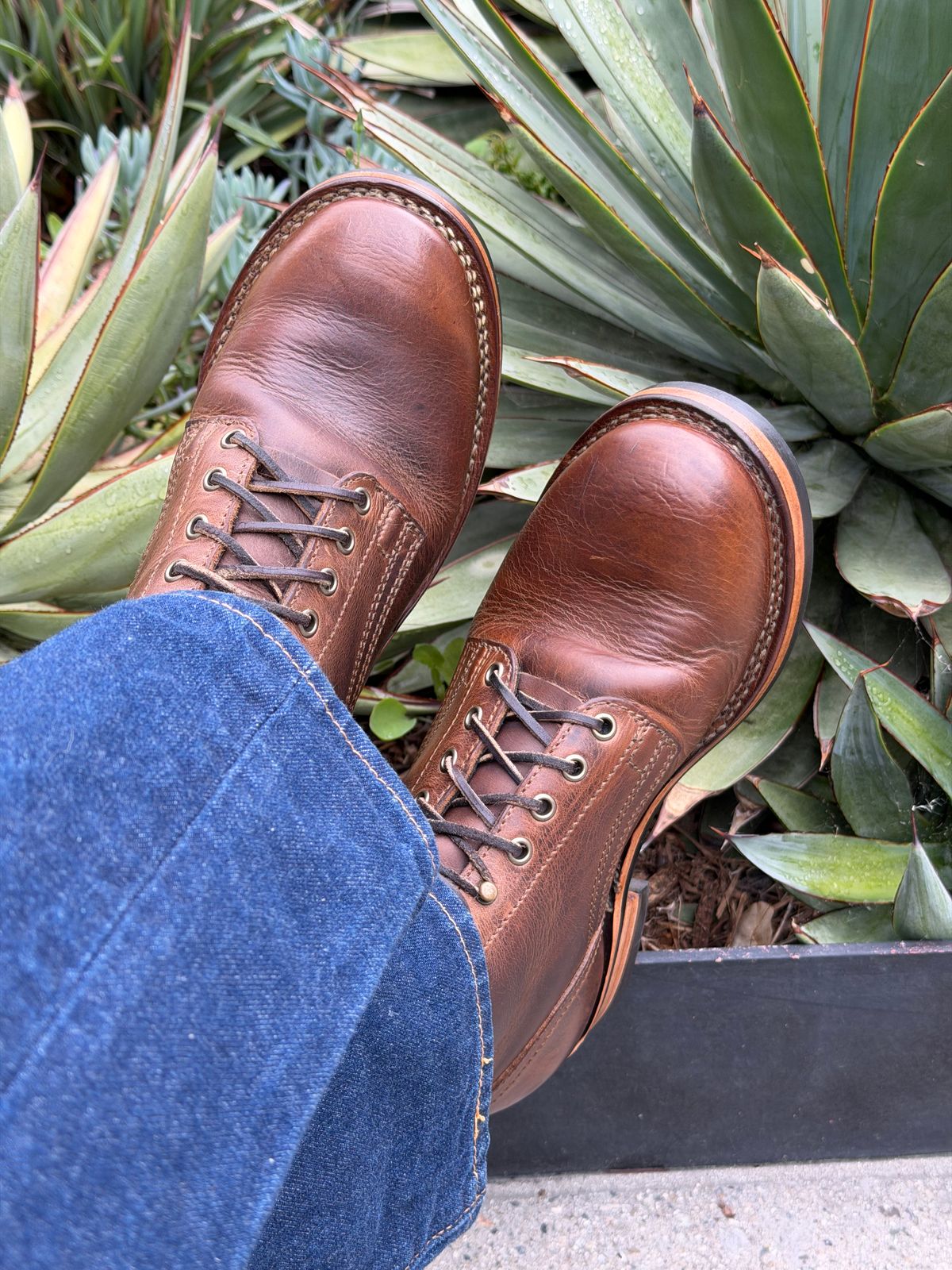 Photo by Dingo_Ugly on May 3, 2026 of the Drew's Boots Contractor 8 Inch in Rowdy Smooth.