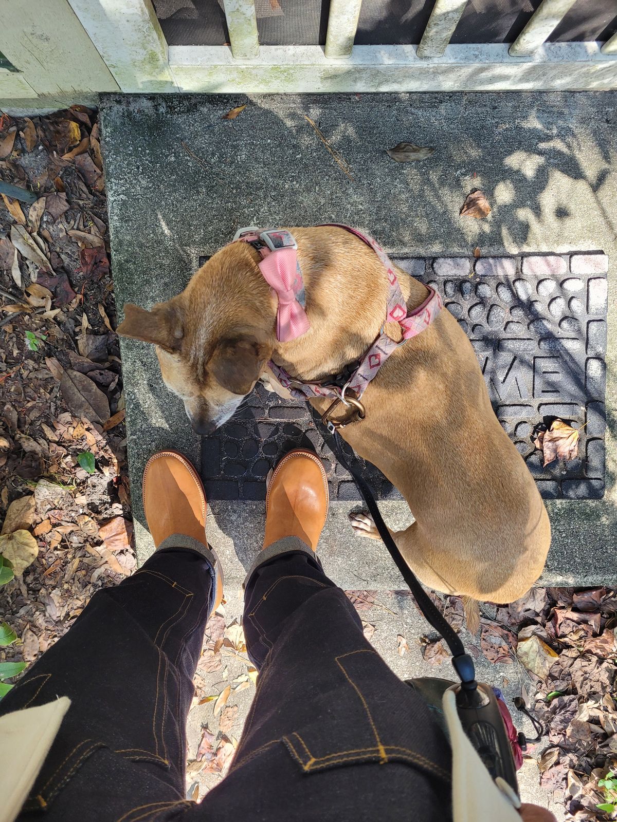 Photo by markieballa on October 30, 2025 of the Fortis Boots Tapak 2.0 Engineer Boots in Maryam 1071 Rovescio Sego Horsebutt.