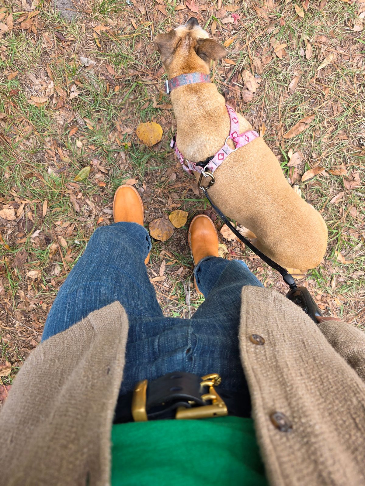 Photo by markieballa on November 8, 2025 of the Fortis Boots Tapak 2.0 Engineer Boots in Maryam 1071 Rovescio Sego Horsebutt.