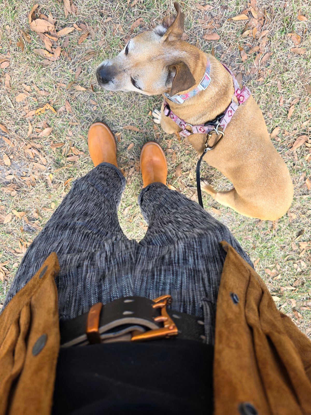 Photo by markieballa on December 22, 2025 of the Fortis Boots Tapak 2.0 Engineer Boots in Maryam 1071 Rovescio Sego Horsebutt.