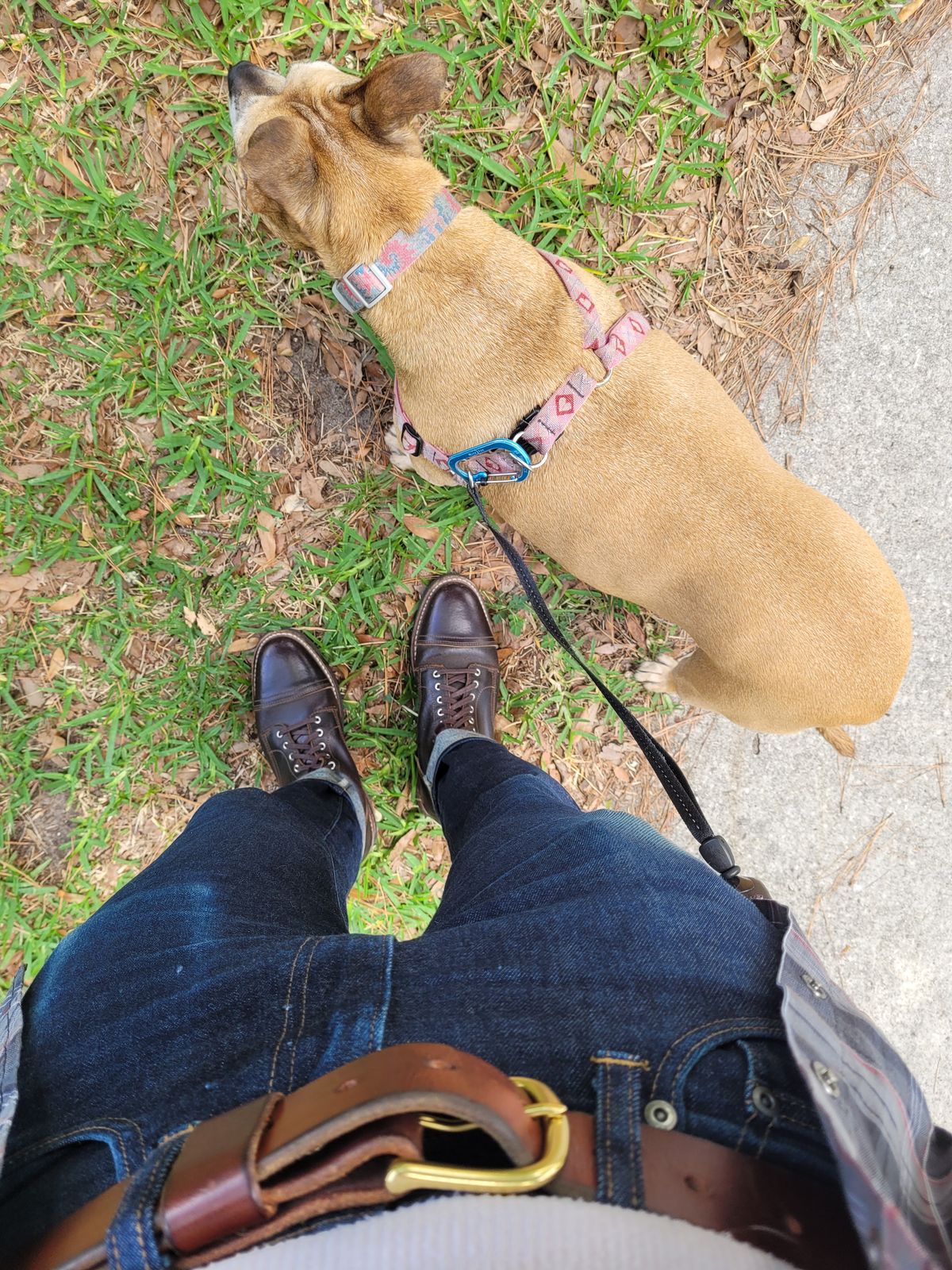 Photo by markieballa on June 8, 2025 of the Thursday Logger in Horween Waxed Cacao.