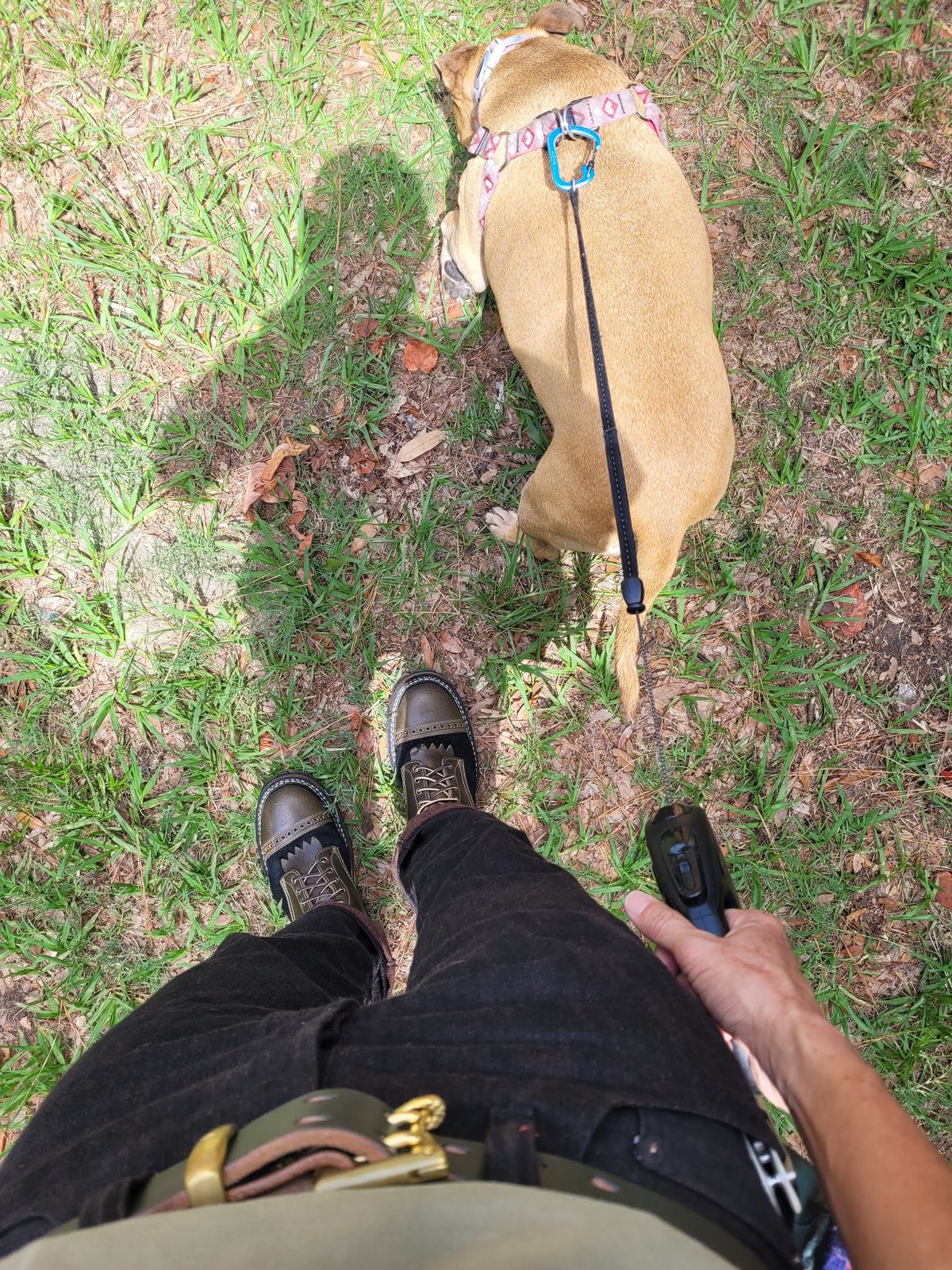 Photo by markieballa on June 9, 2025 of the White's Bounty Hunter in Horween Olive Waxed Flesh & Seidel Black Oil Tan Roughout.