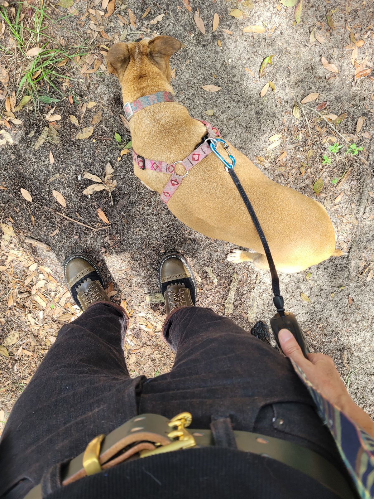 Photo by markieballa on July 23, 2025 of the White's Bounty Hunter in Horween Olive Waxed Flesh & Seidel Black Oil Tan Roughout.