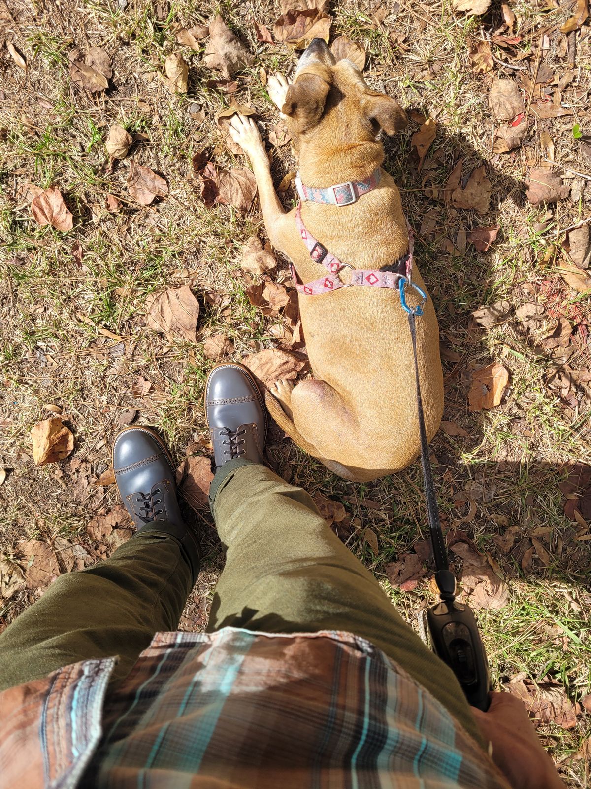 Photo by markieballa on November 1, 2024 of the Iron Boots The Chosen One in Maryam Grigio Shell Cordovan.