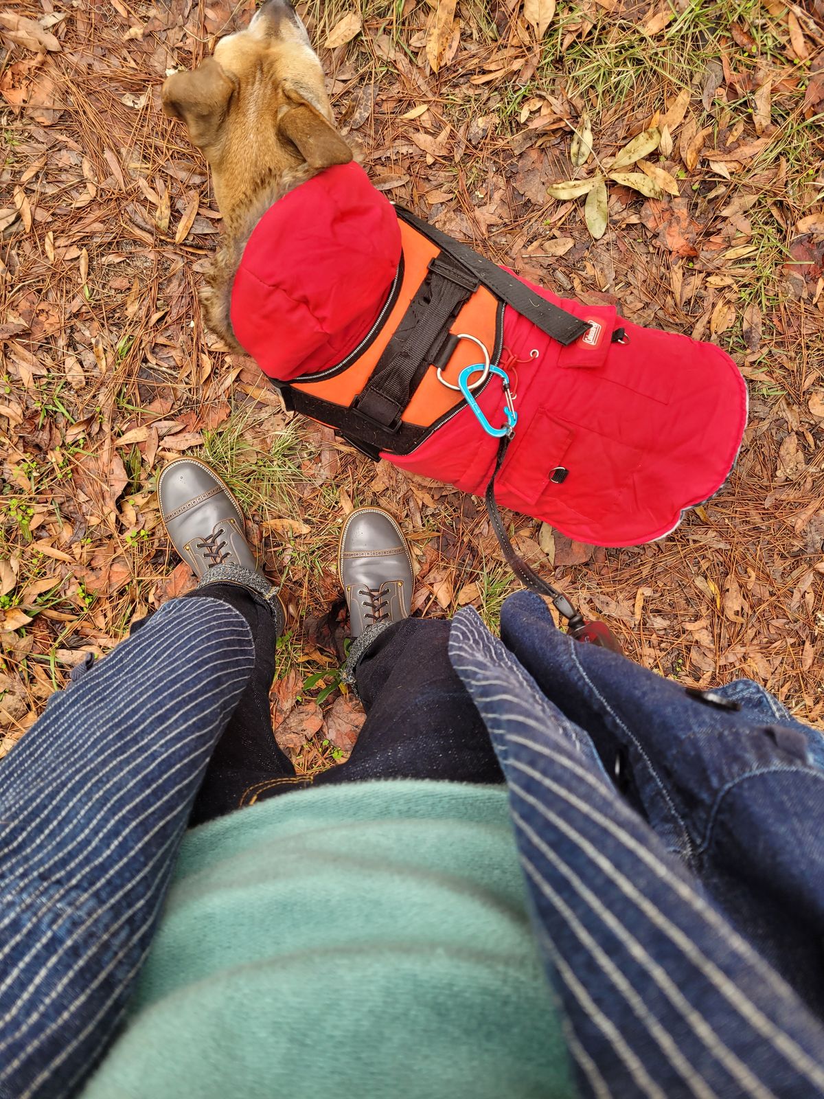 Photo by markieballa on January 11, 2025 of the Iron Boots The Chosen One in Maryam Grigio Shell Cordovan.