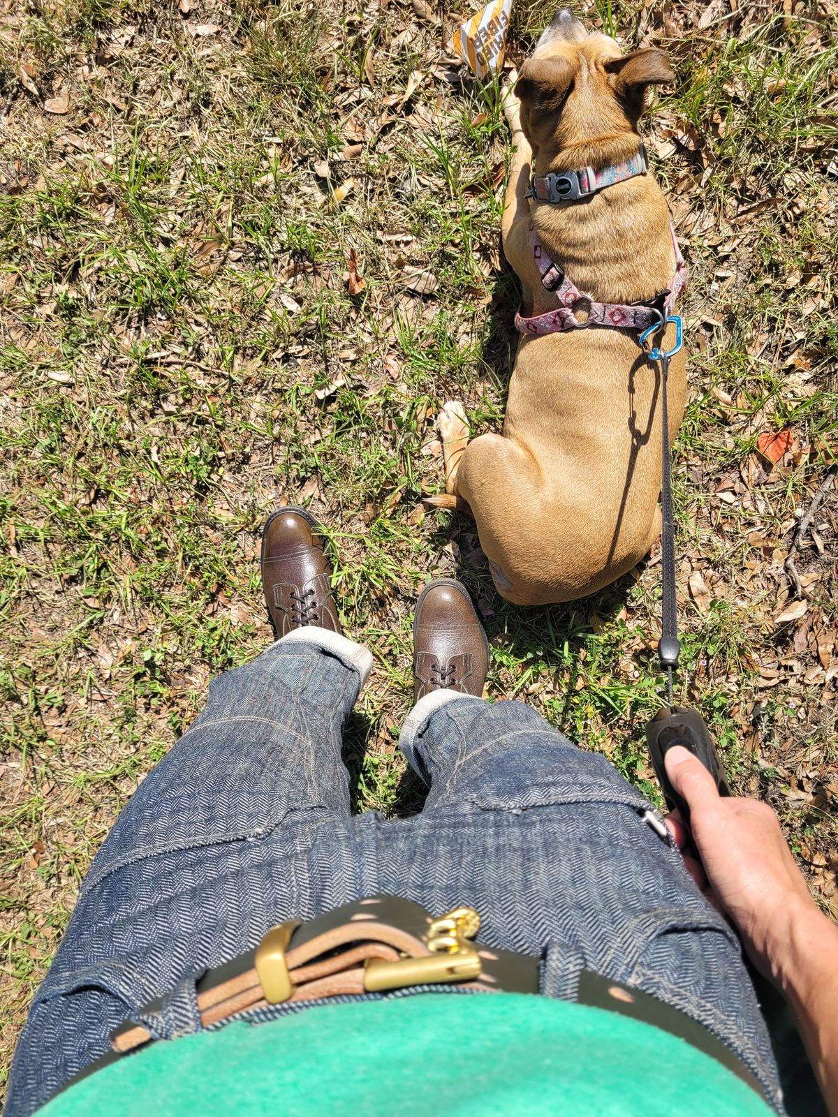 Photo by markieballa on May 21, 2025 of the Tricker's Grassmere Country Boot in C.F. Stead Moss Kudu.