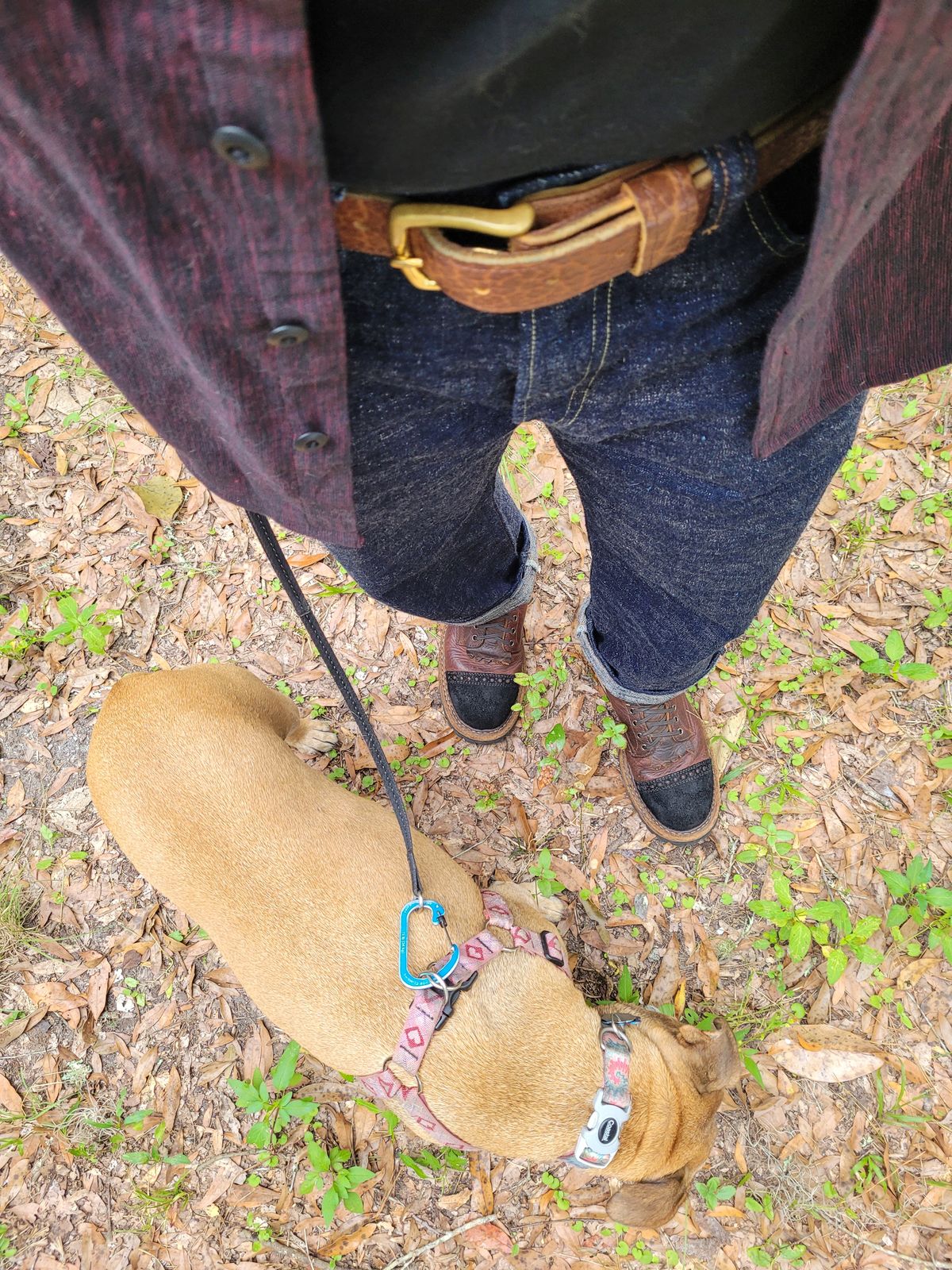 Photo by markieballa on October 28, 2024 of the White's Bounty Hunter in Law Tanning Brown Bison & Seidel Black Oil Tan Roughout.