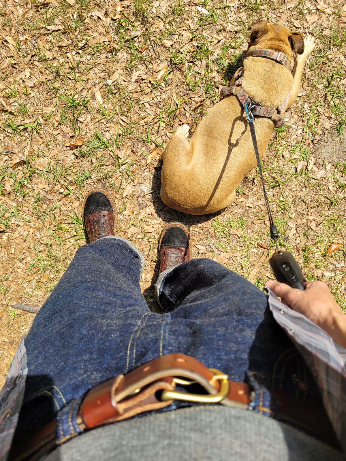 Photo by markieballa on May 6, 2025 of the White's Bounty Hunter in Law Tanning Brown Bison & Seidel Black Oil Tan Roughout.