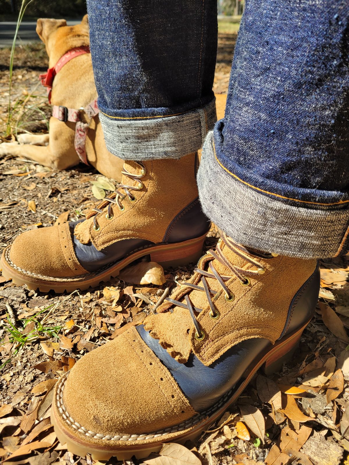 Photo by markieballa on January 17, 2025 of the Frank's Boots Type 2 Highlander in Seidel Tan Teton Roughout & Horween Ink Cavalier.