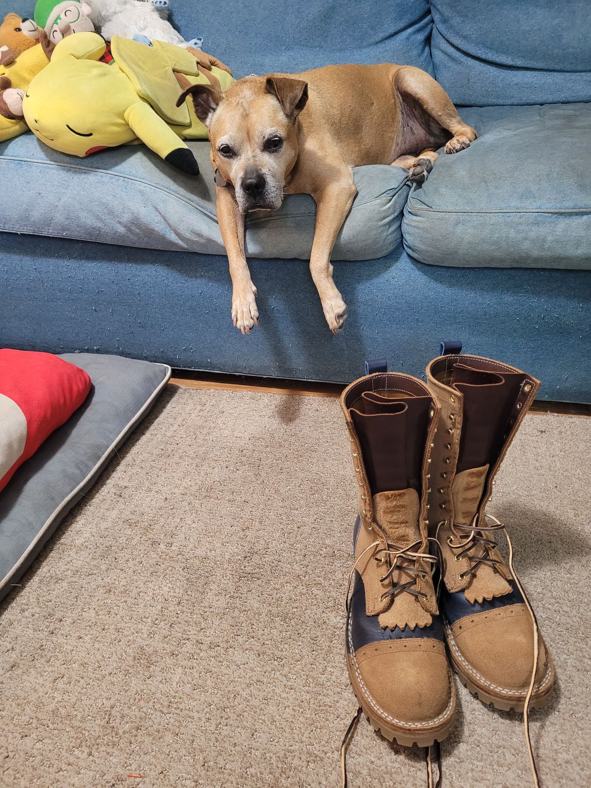 Photo by markieballa on May 5, 2025 of the Frank's Boots Type 2 Highlander in Seidel Tan Teton Roughout & Horween Ink Cavalier.