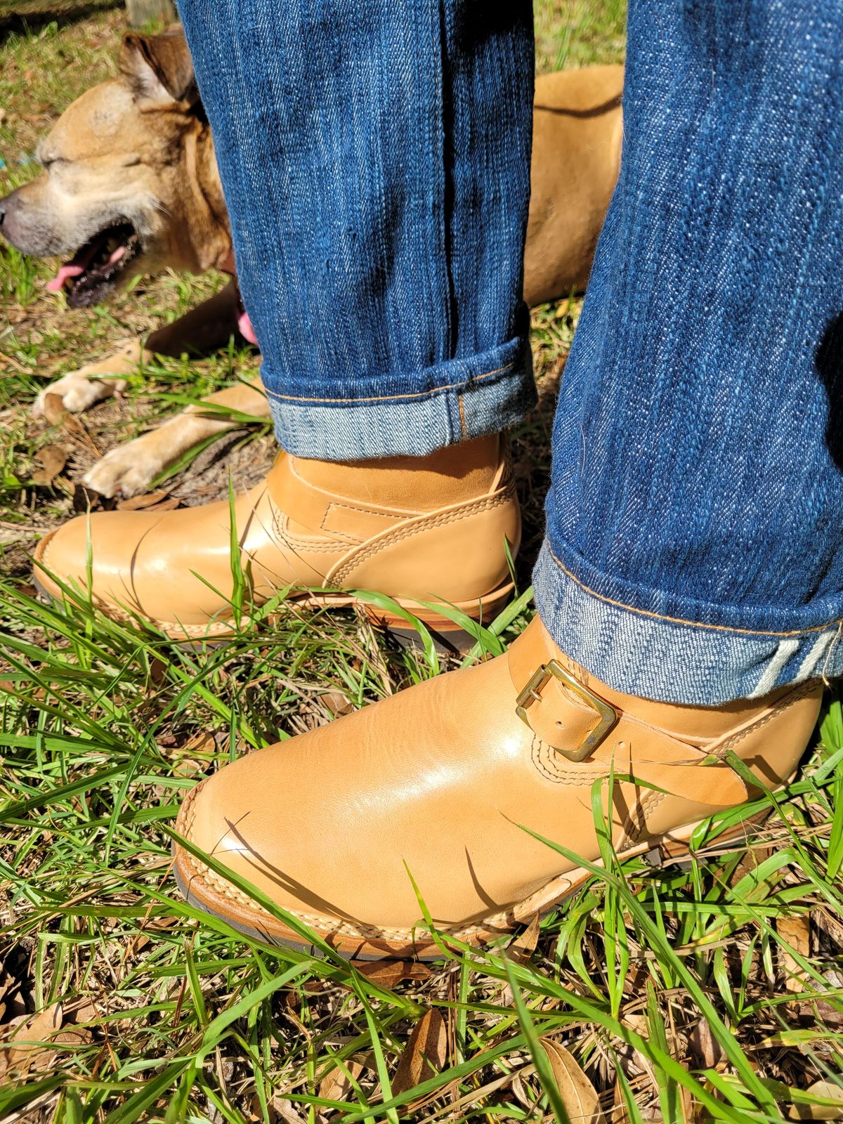 Photo by markieballa on October 4, 2024 of the Wesco Mister Lou in Maryam Natural Horsebutt.
