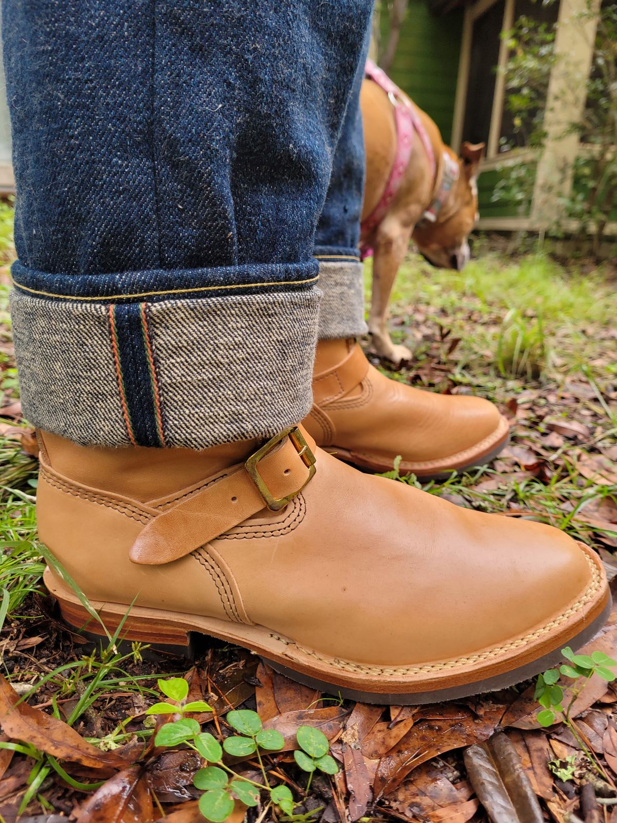 Photo by markieballa on October 7, 2024 of the Wesco Mister Lou in Maryam Natural Horsebutt.