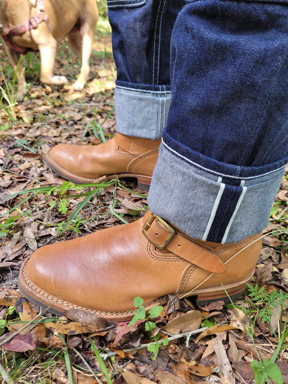 Photo by markieballa on November 5, 2024 of the Wesco Mister Lou in Maryam Natural Horsebutt.
