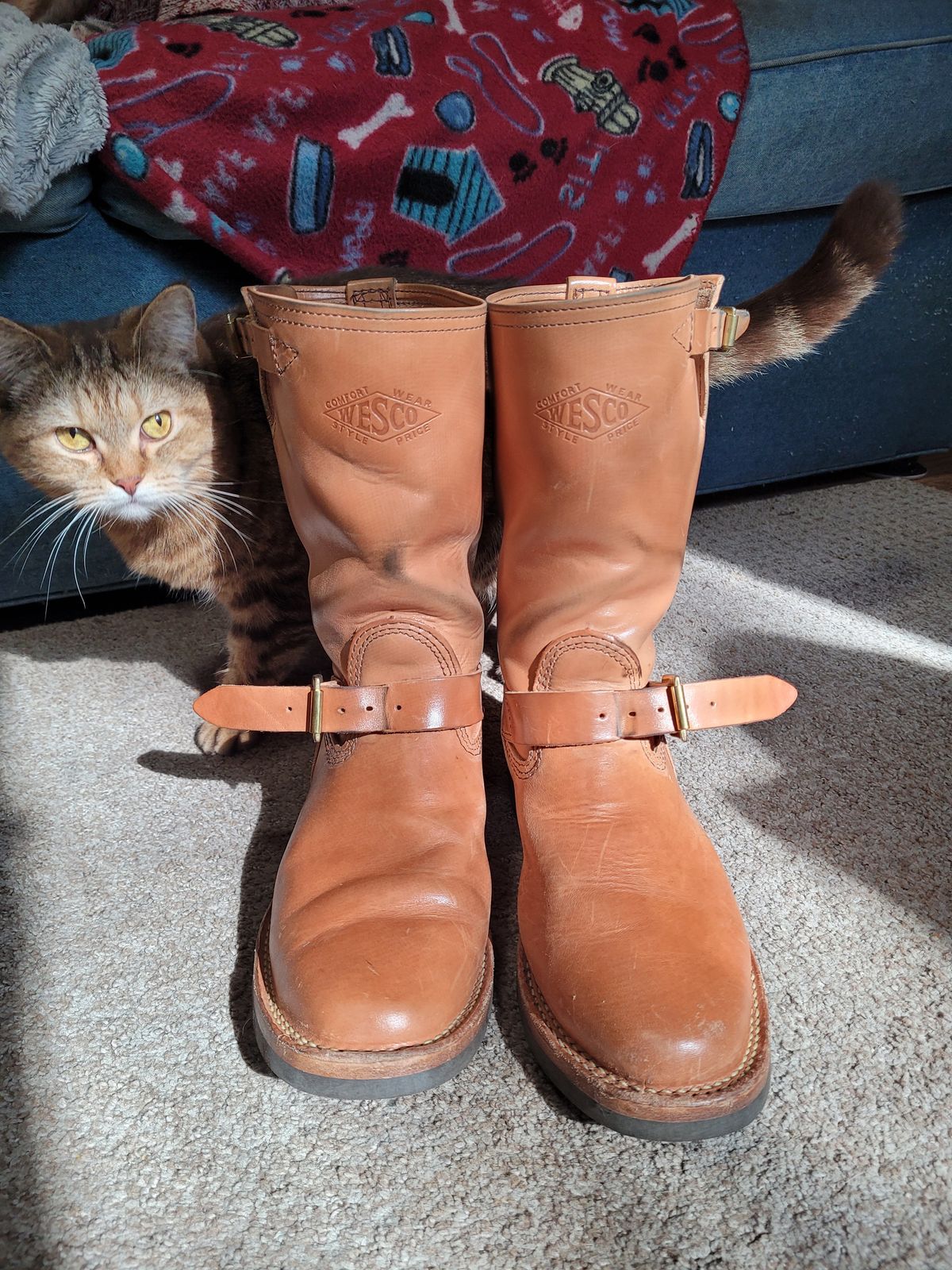 Photo by markieballa on December 3, 2024 of the Wesco Mister Lou in Maryam Natural Horsebutt.
