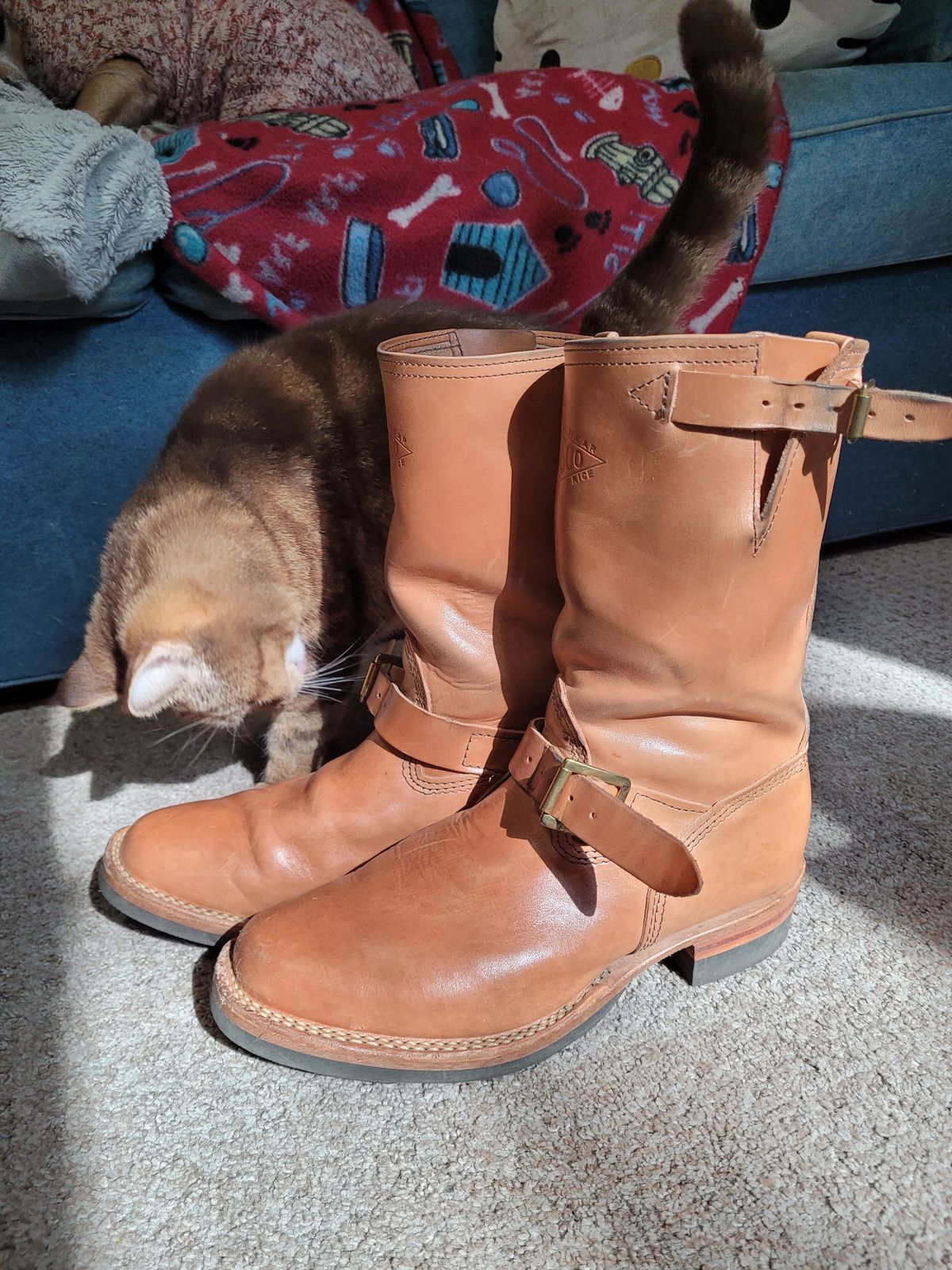 Photo by markieballa on December 3, 2024 of the Wesco Mister Lou in Maryam Natural Horsebutt.