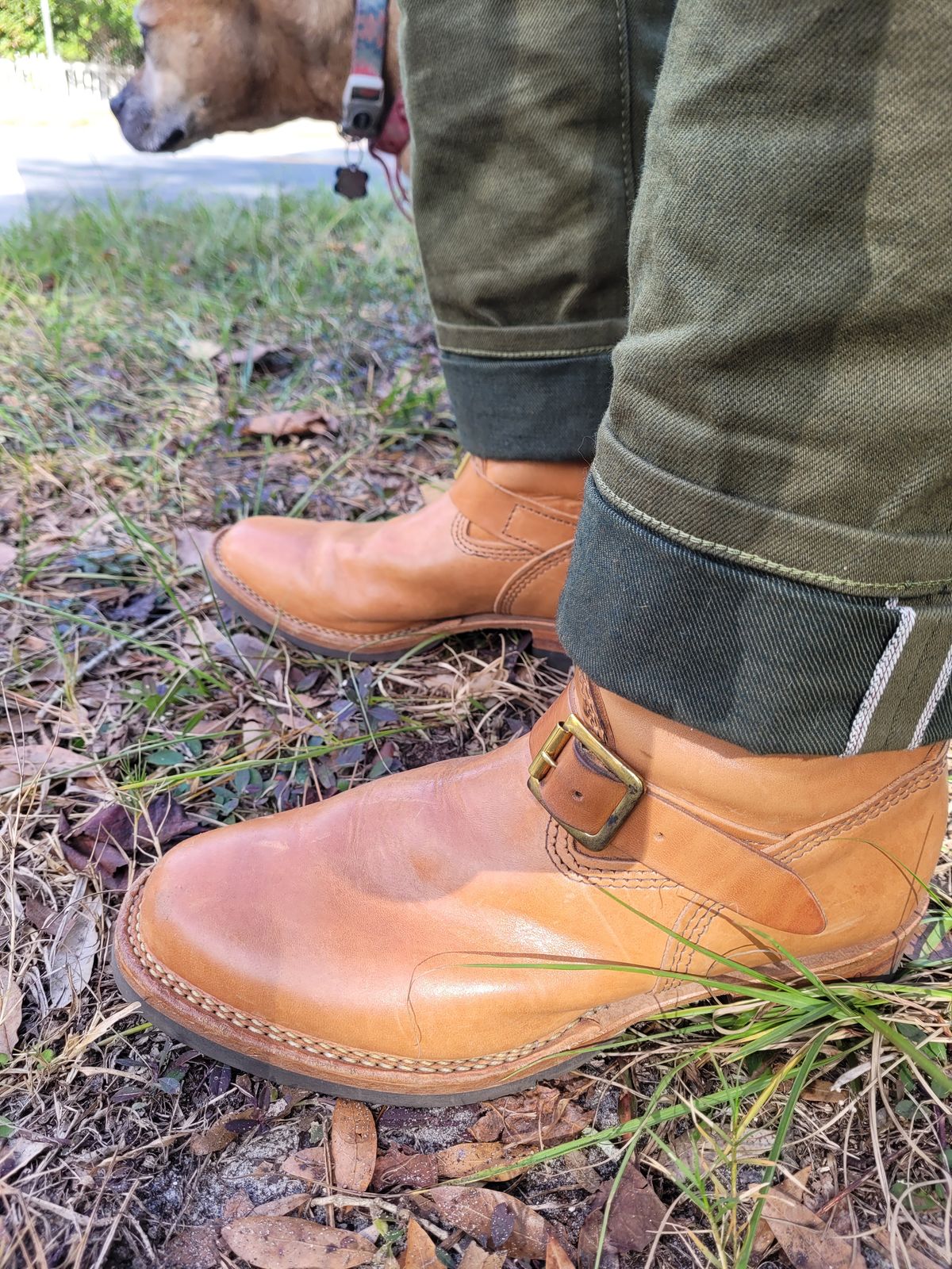 Photo by markieballa on December 9, 2024 of the Wesco Mister Lou in Maryam Natural Horsebutt.