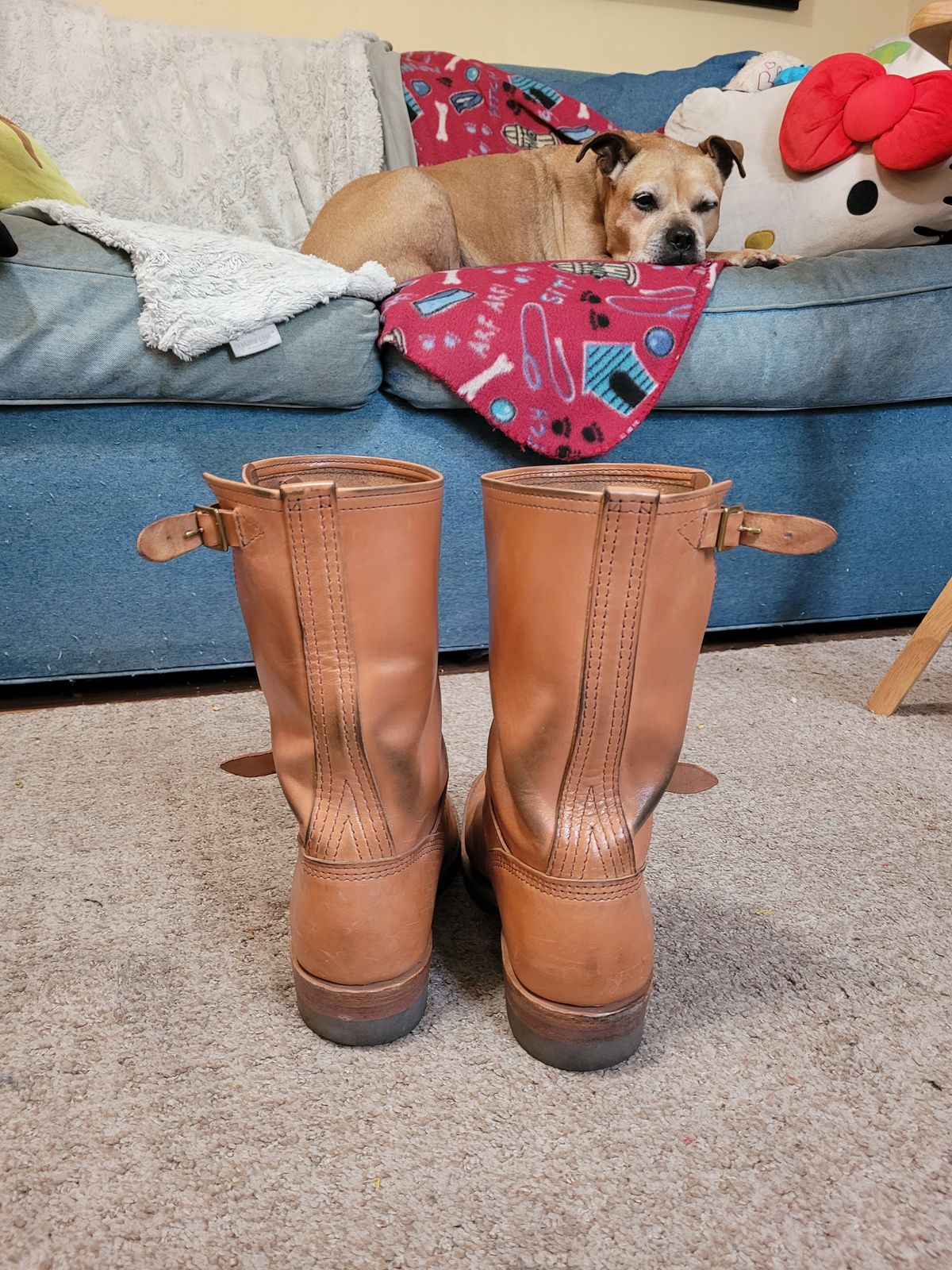 Photo by markieballa on March 4, 2025 of the Wesco Mister Lou in Maryam Natural Horsebutt.