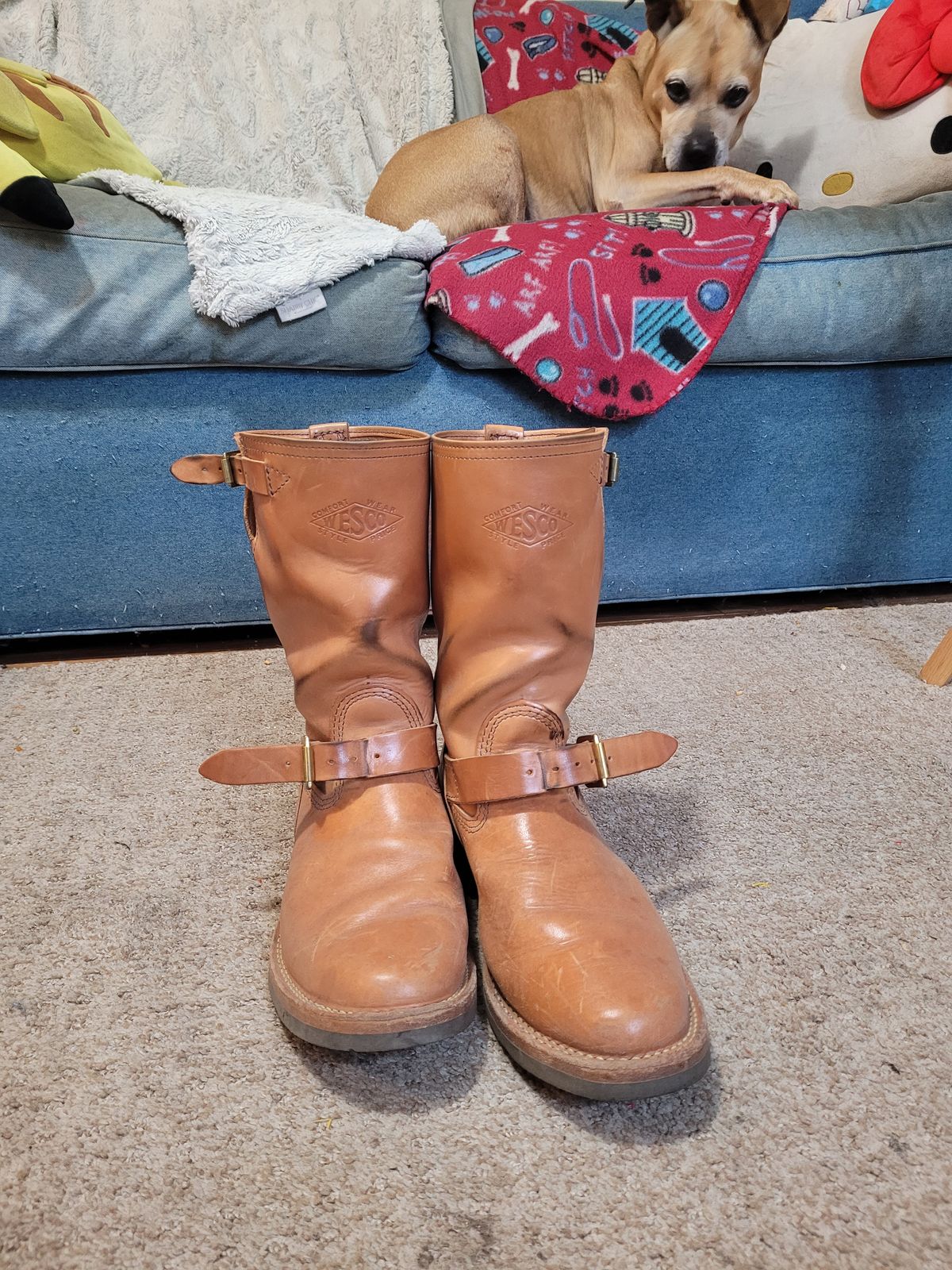 Photo by markieballa on March 4, 2025 of the Wesco Mister Lou in Maryam Natural Horsebutt.
