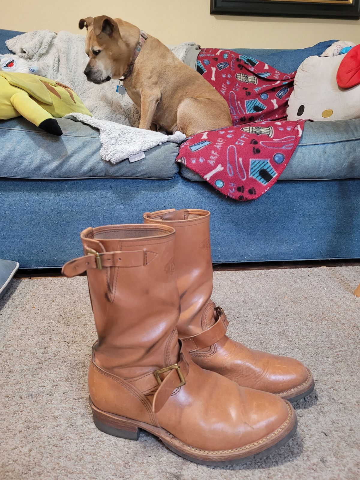 Photo by markieballa on March 4, 2025 of the Wesco Mister Lou in Maryam Natural Horsebutt.