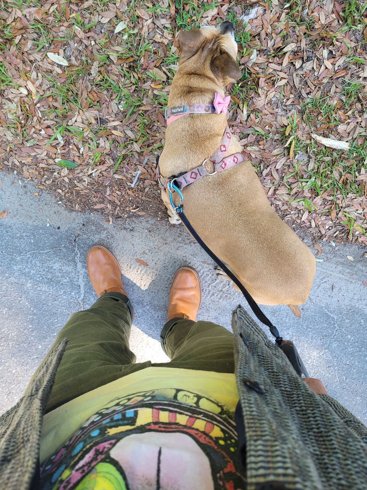 Photo by markieballa on April 16, 2025 of the Wesco Mister Lou in Maryam Natural Horsebutt.