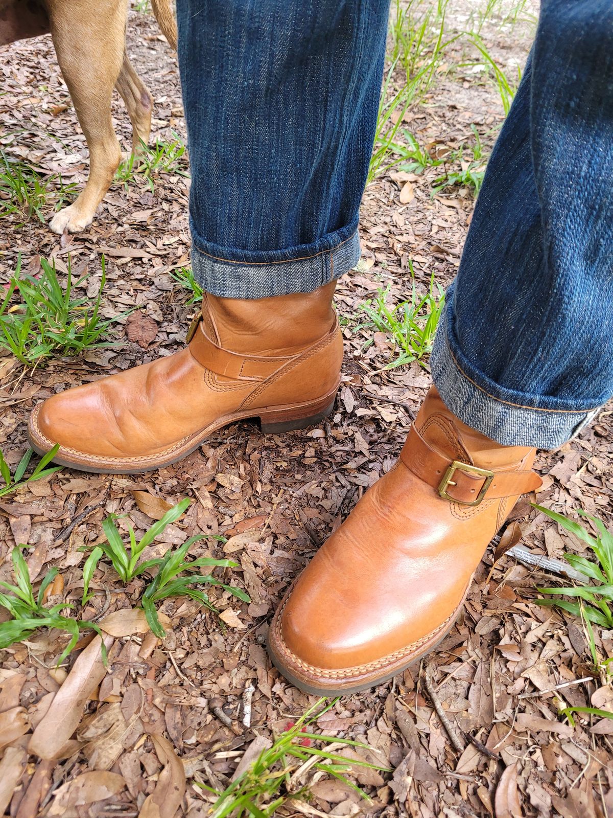 Photo by markieballa on July 11, 2025 of the Wesco Mister Lou in Maryam Natural Horsebutt.