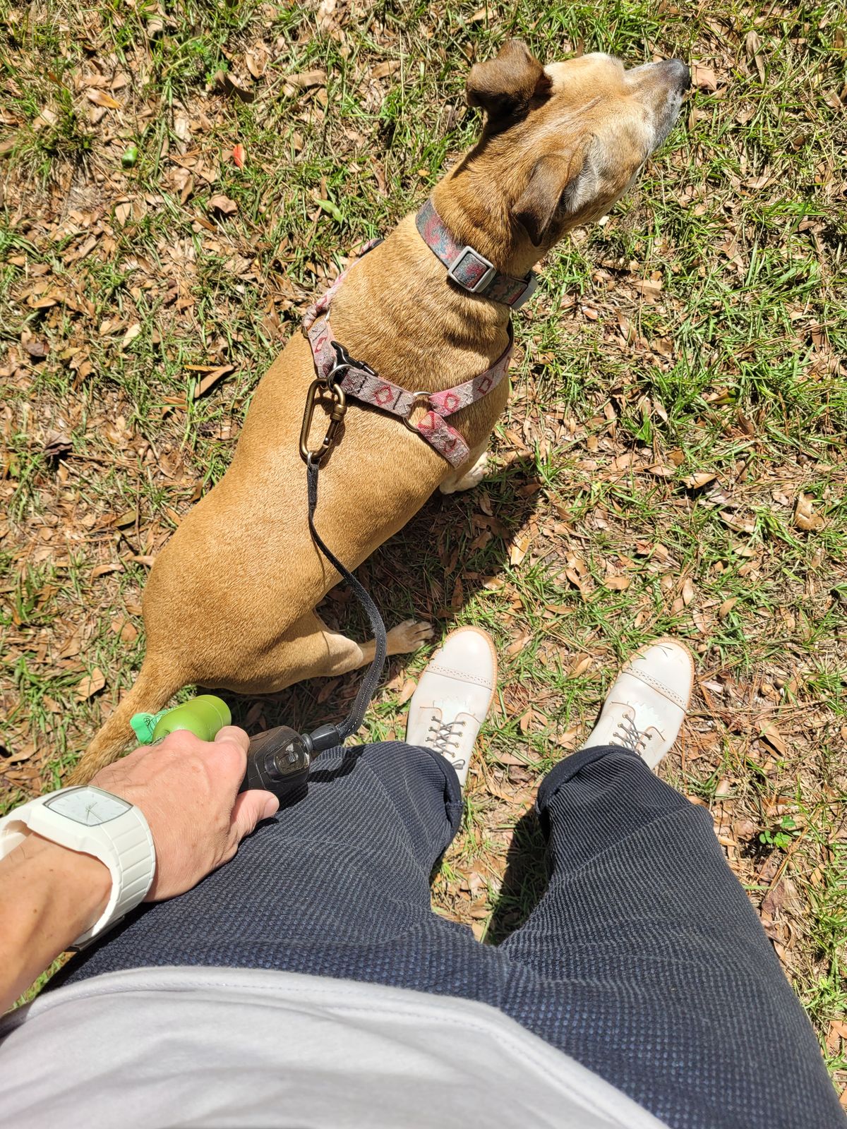 Photo by markieballa on October 4, 2025 of the Grant Stone Garrison Boot in Conceria Walpier Ghost Burro.