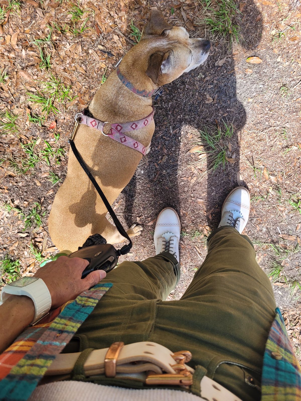 Photo by markieballa on October 7, 2025 of the Grant Stone Garrison Boot in Conceria Walpier Ghost Burro.