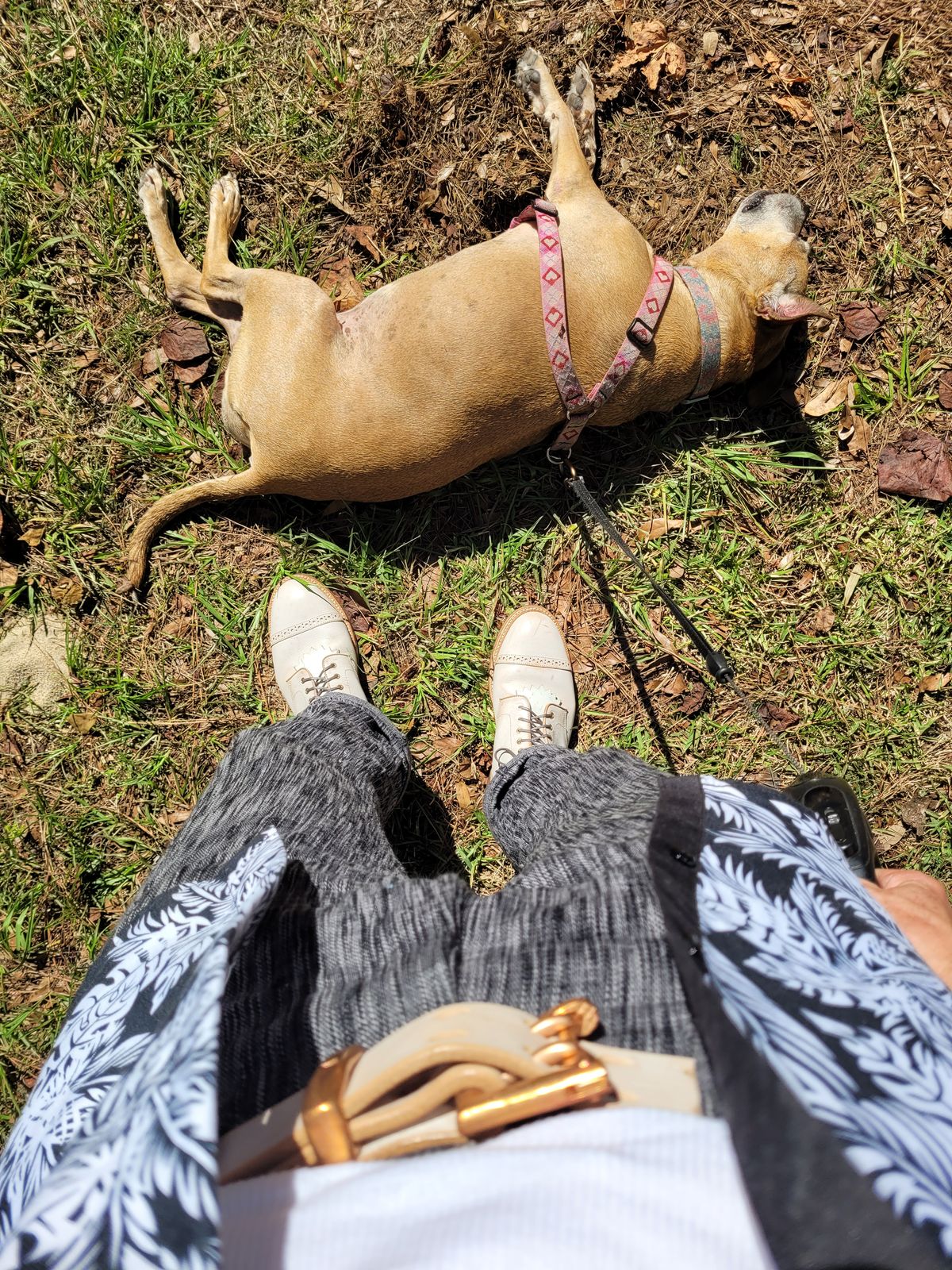 Photo by markieballa on October 14, 2025 of the Grant Stone Garrison Boot in Conceria Walpier Ghost Burro.