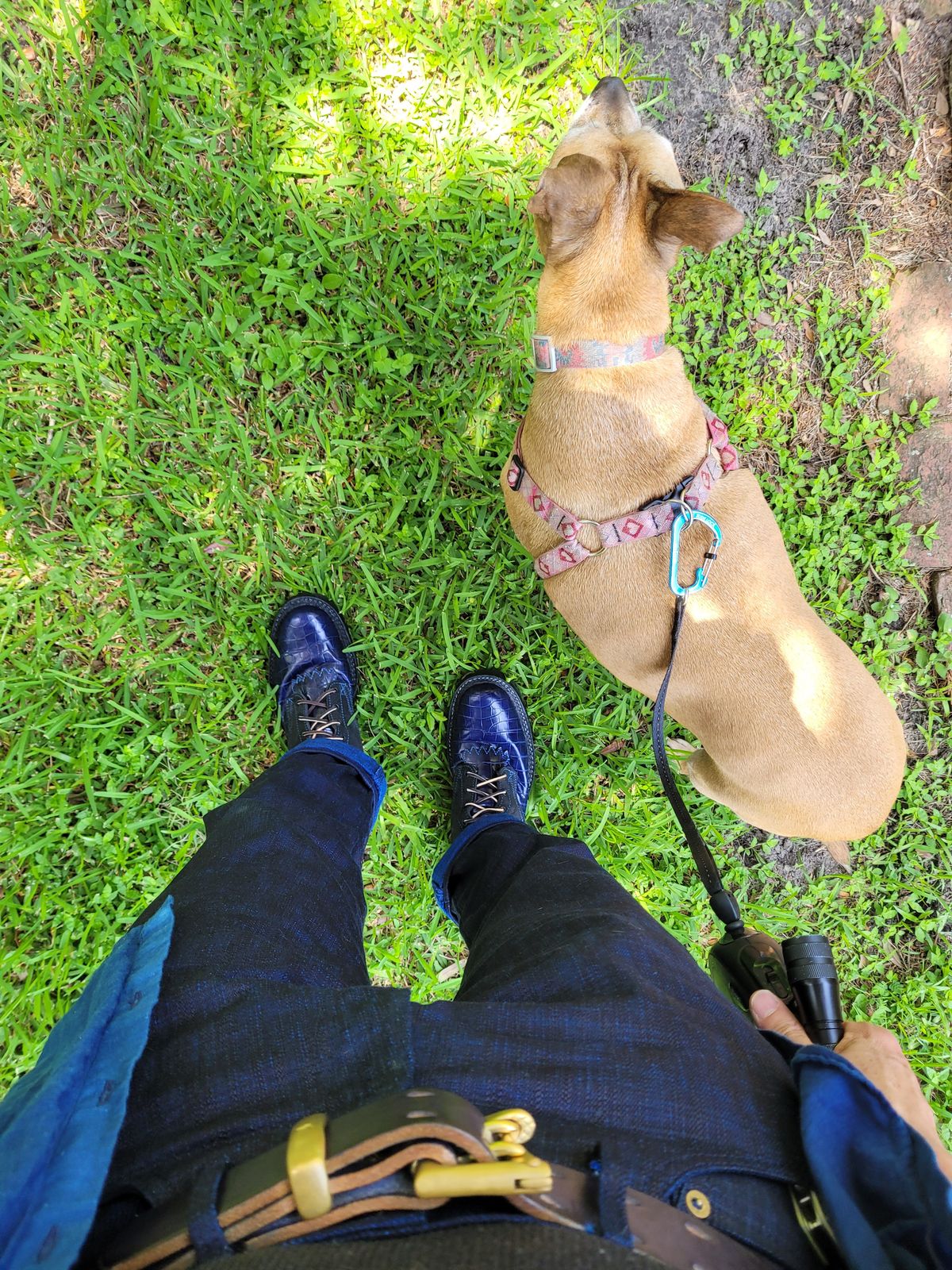 Photo by markieballa on July 14, 2025 of the Frank's Boots Type 2 Highlander in Blue Nile Crocodile & Black Roughout Work Leather.