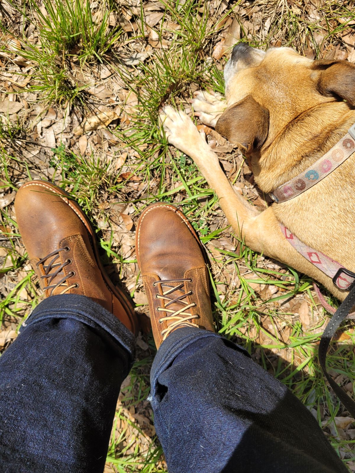 Photo by markieballa on May 2, 2025 of the Truman Upland Boot in Gallun Cognac Teton Stag.