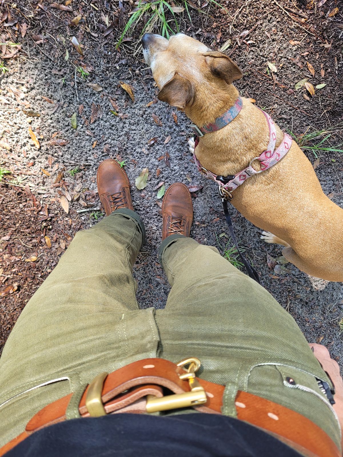 Photo by markieballa on October 20, 2025 of the Truman Upland Boot in Gallun Cognac Teton Stag.