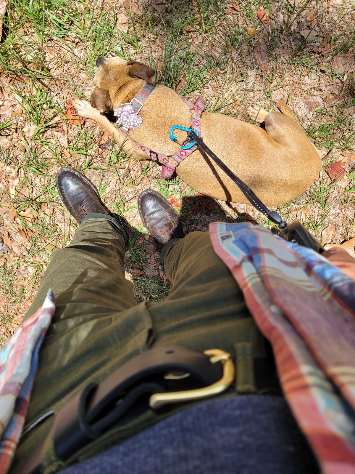 Photo by markieballa on June 24, 2024 of the Crockett & Jones Indiana in Dark Brown Roughout Suede.