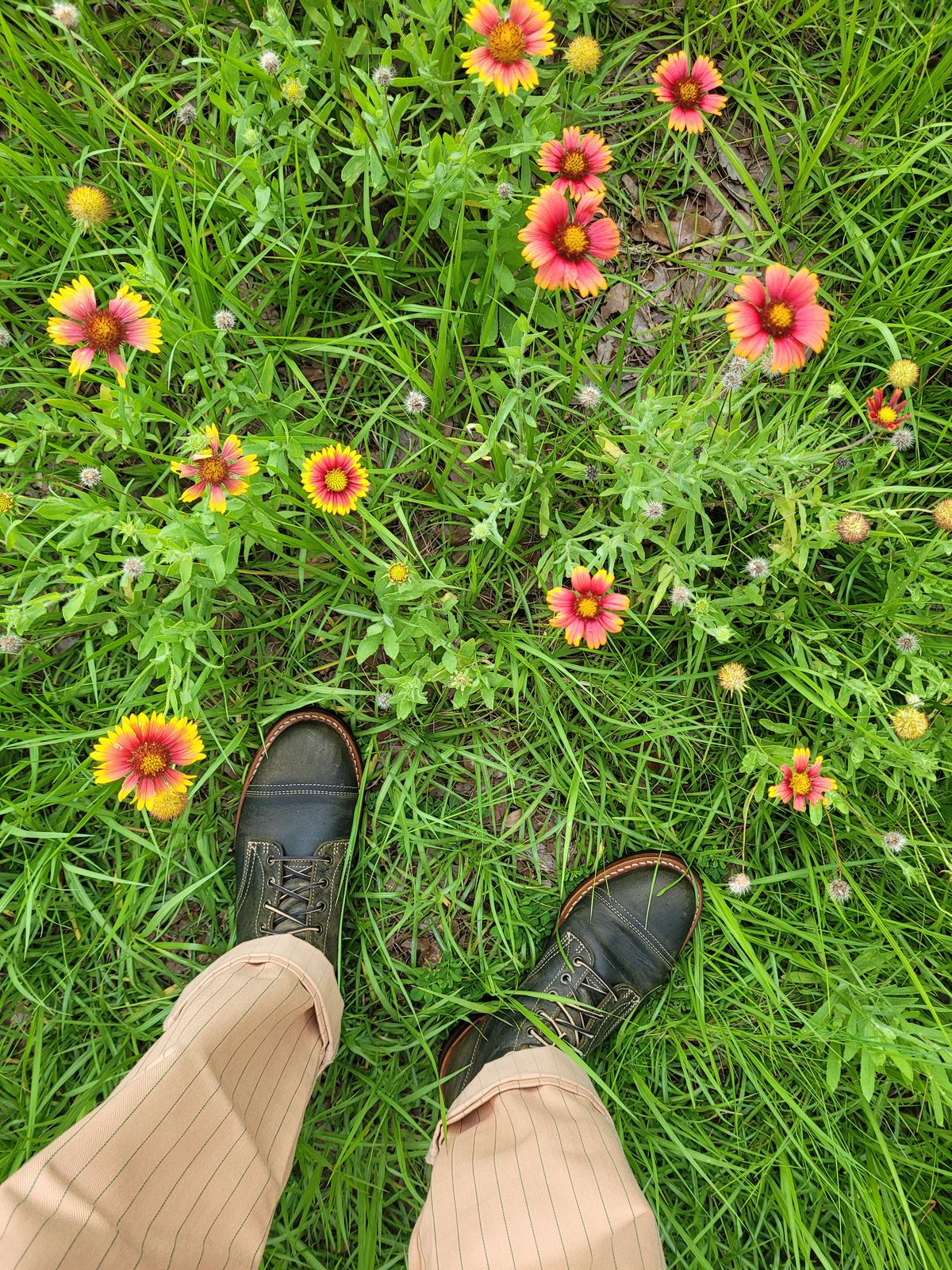Photo by markieballa on July 15, 2025 of the Truman Upland Boot in Gallun Olive Teton Stag.