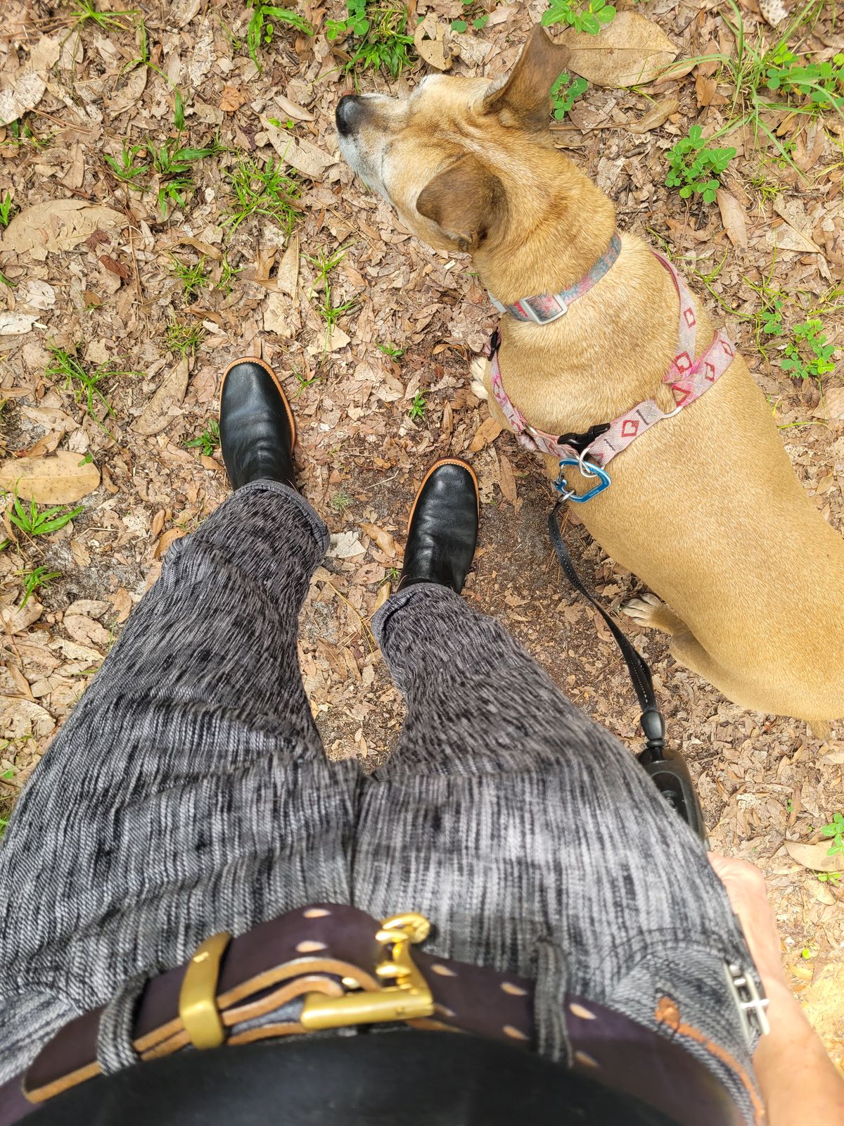 Photo by markieballa on July 9, 2025 of the Briselblack The Keeper 'Type 2' Engineer Boot in Shinki Black Teacore Horsehide.