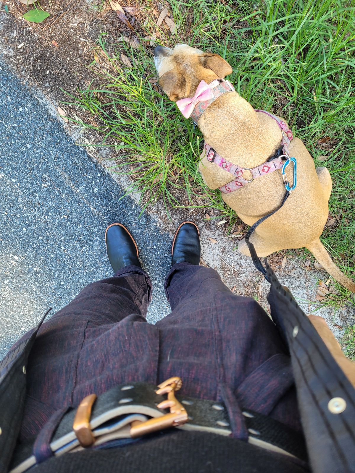Photo by markieballa on July 20, 2025 of the Briselblack The Keeper 'Type 2' Engineer Boot in Shinki Black Teacore Horsehide.