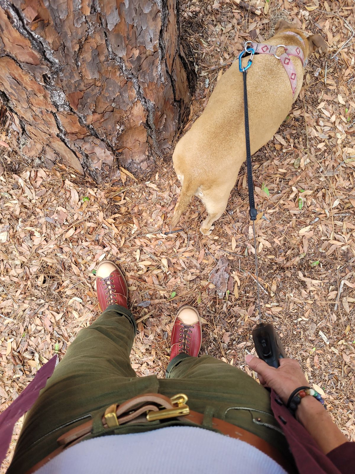 Photo by markieballa on April 29, 2025 of the Sagara Cordmaster in Conceria Cloe Natural Horsebutt Overdyed Oxblood & Conceria Cloe Natural Horsebutt.